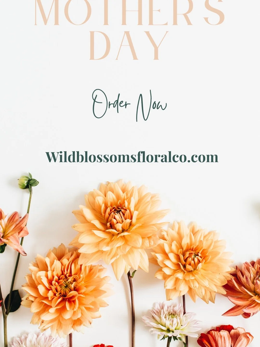 Soft, refined, and made to be remembered 🤍

This Mother&rsquo;s Day, we&rsquo;ve created a collection inspired by the coast &mdash; featuring premium seasonal blooms in our signature Wild Blossoms style.

Thoughtfully designed for the mums, grandmot