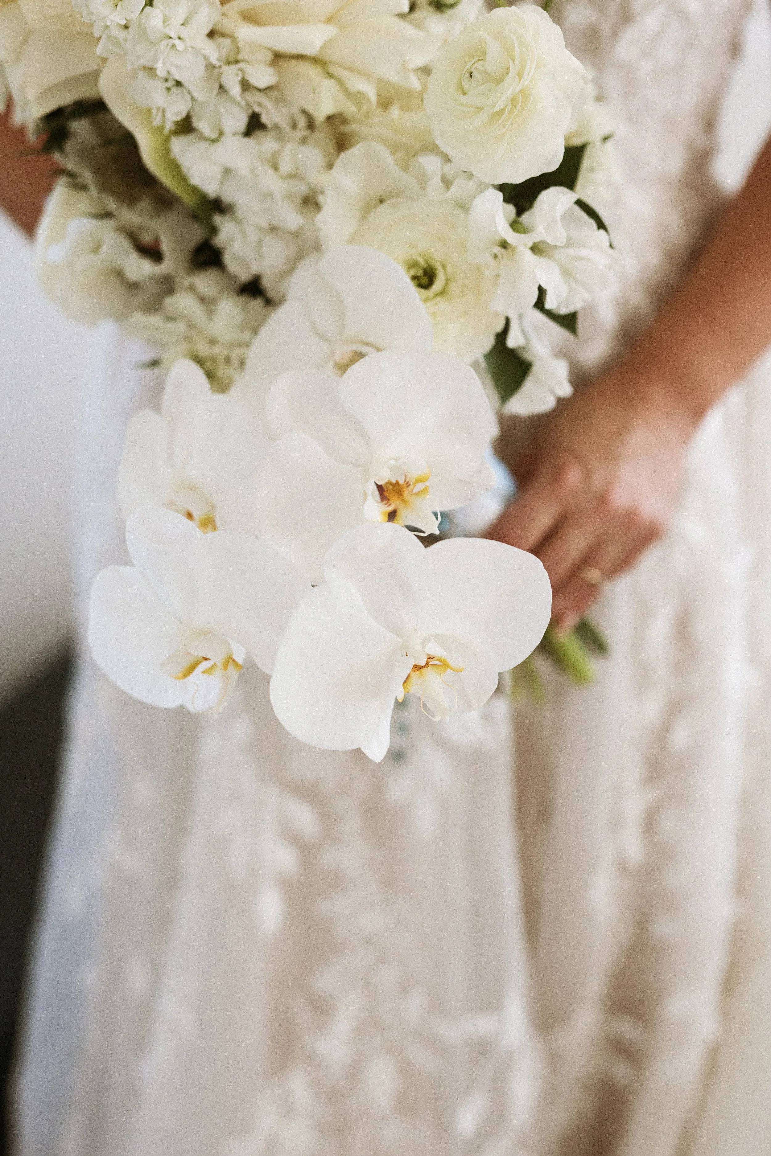 C&G_Wedding_2025-1180.jpg