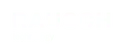 Logo Rausch Technology GmbH