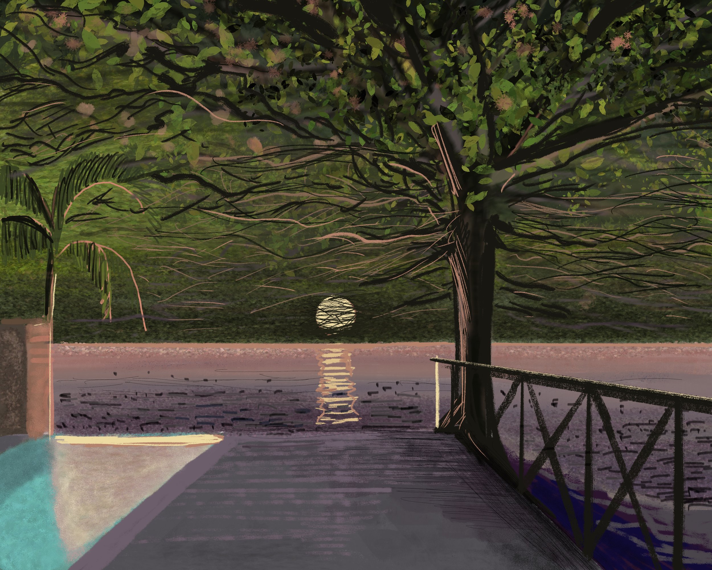 Sunset.jpg