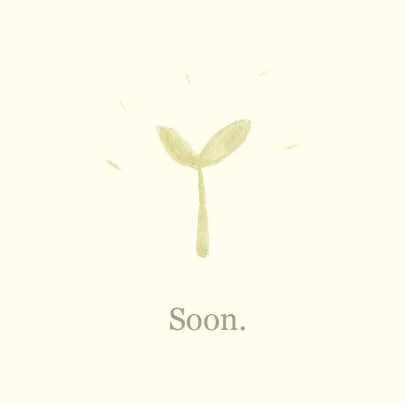 seedlings_growingsoon.jpg
