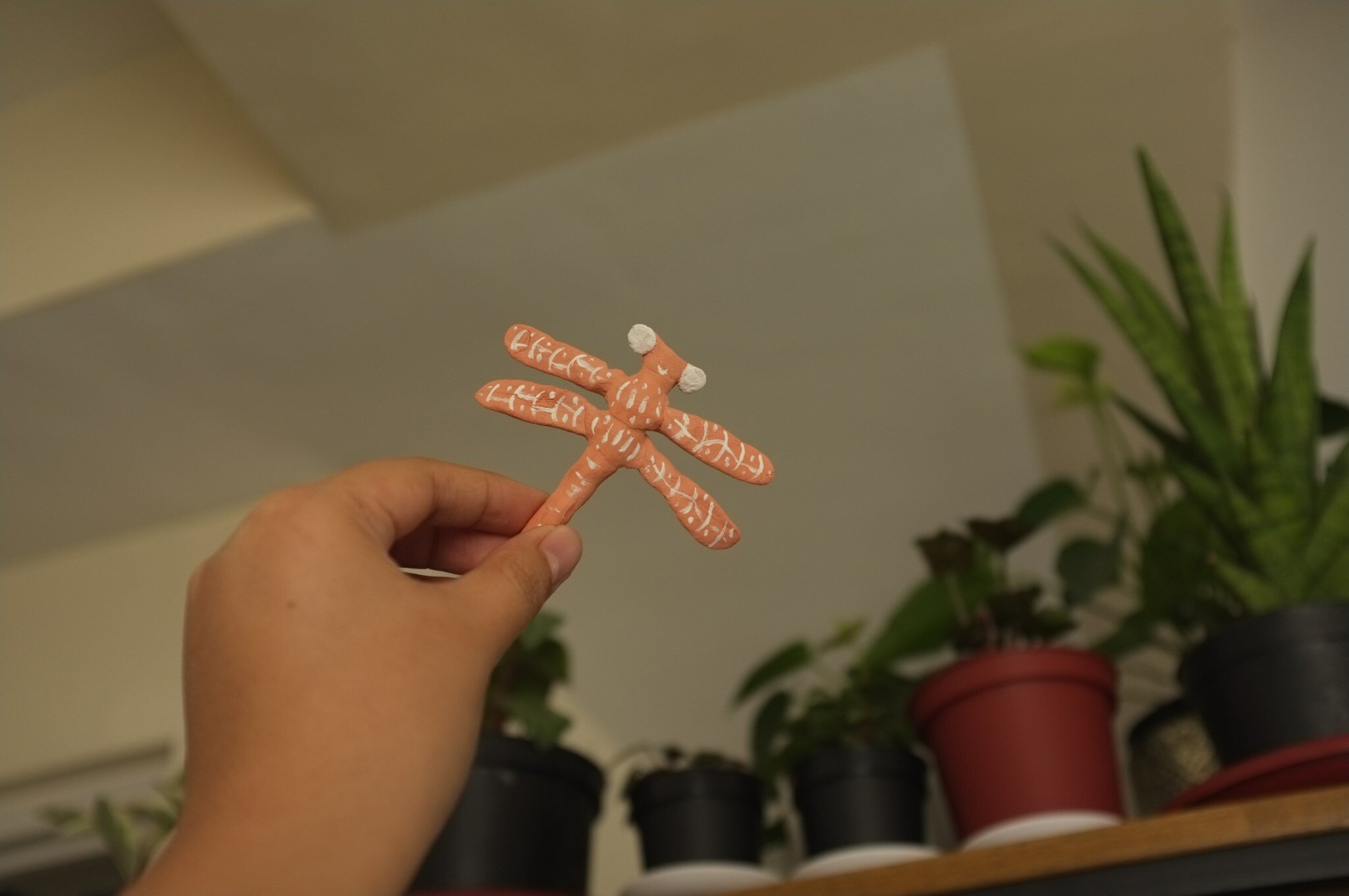 Dorothy the dragonfly!