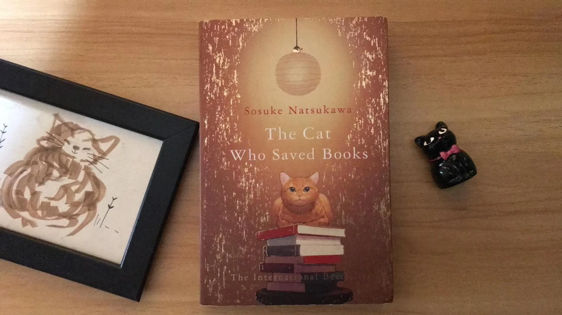 The Saving Power of Cats and Books