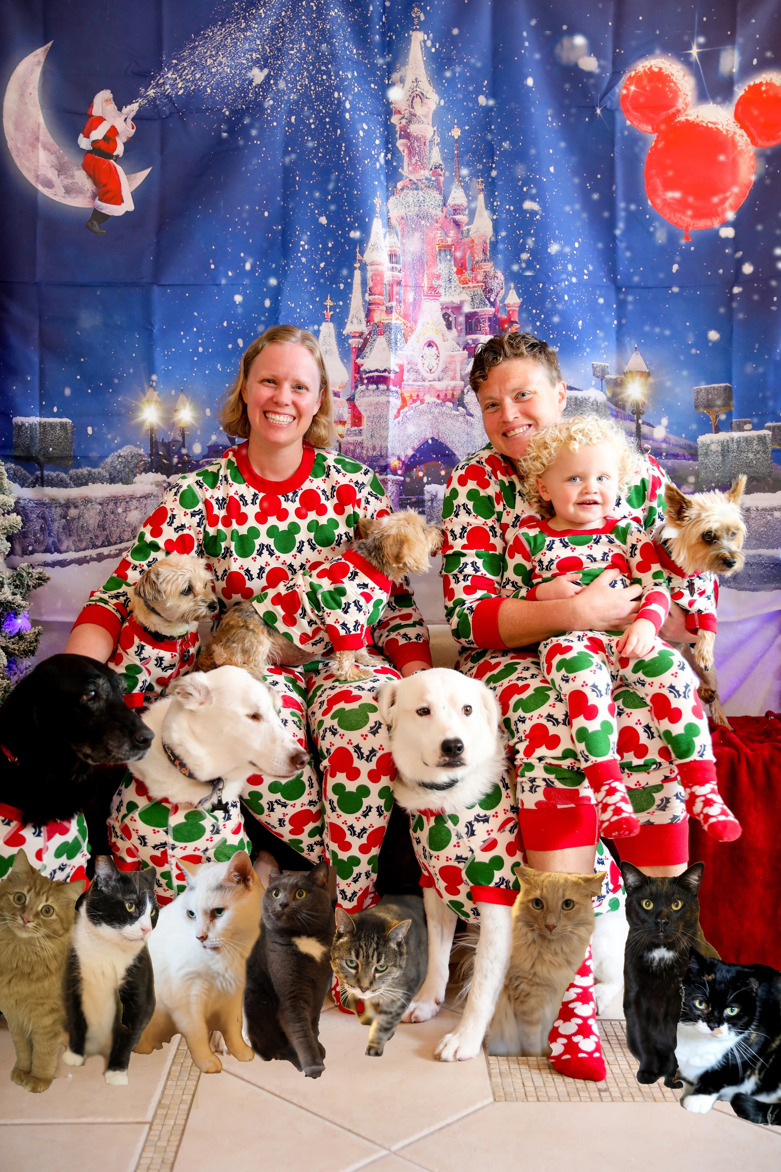 Lantern_snow_Magic_ALL ANIMALS edit 07.5.jpg