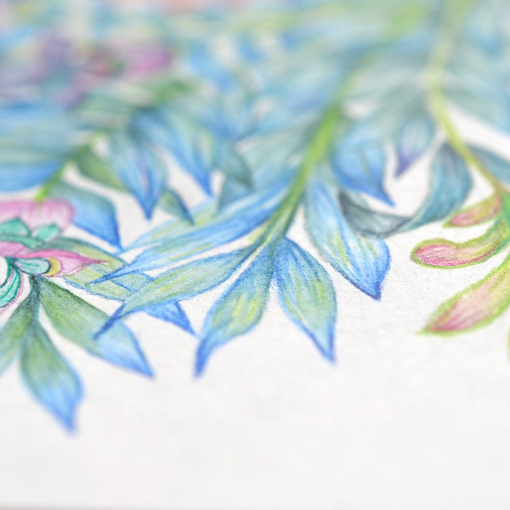 Peacock-closeup2.jpg