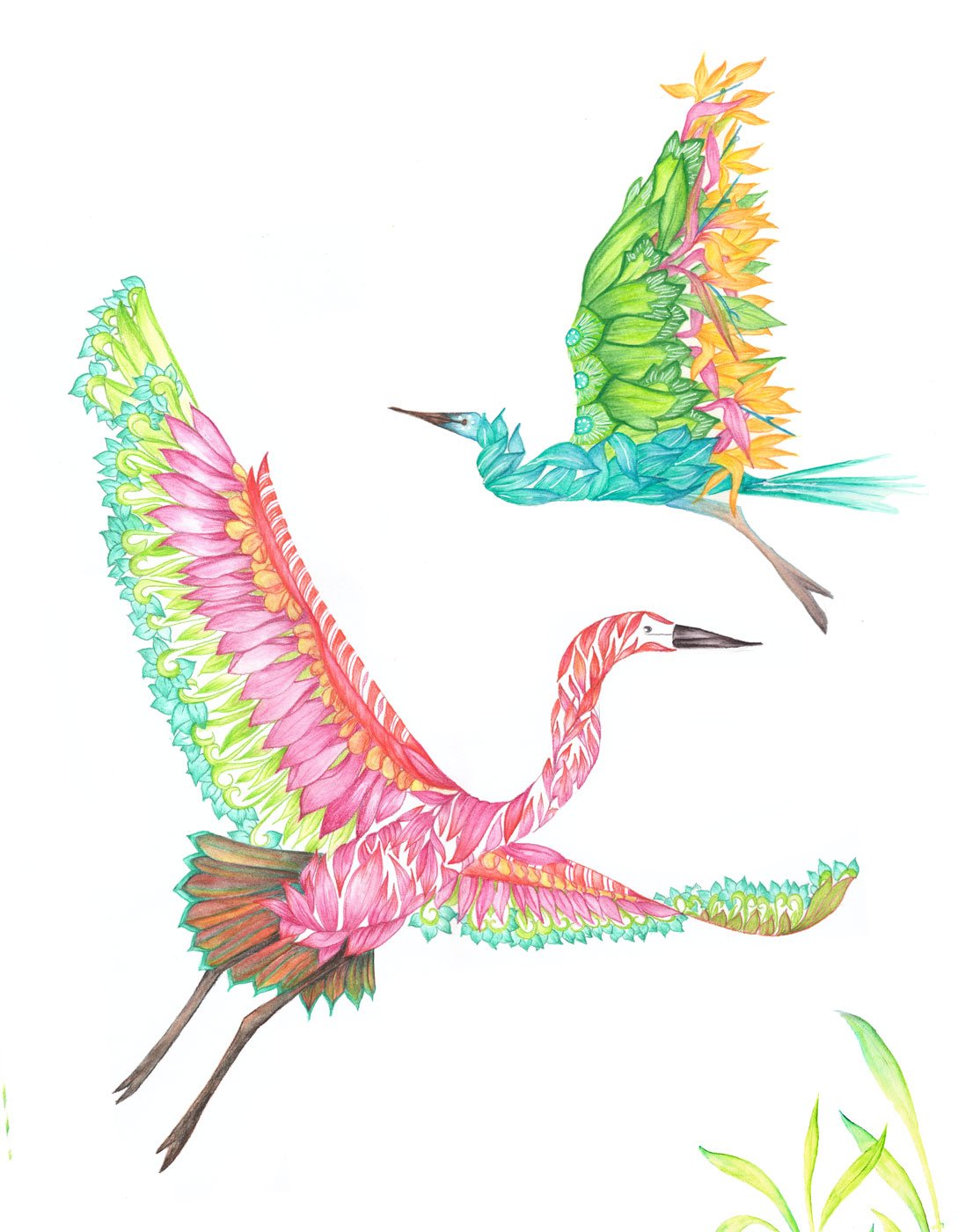 Birds-Series-Heron-Bali2.jpg