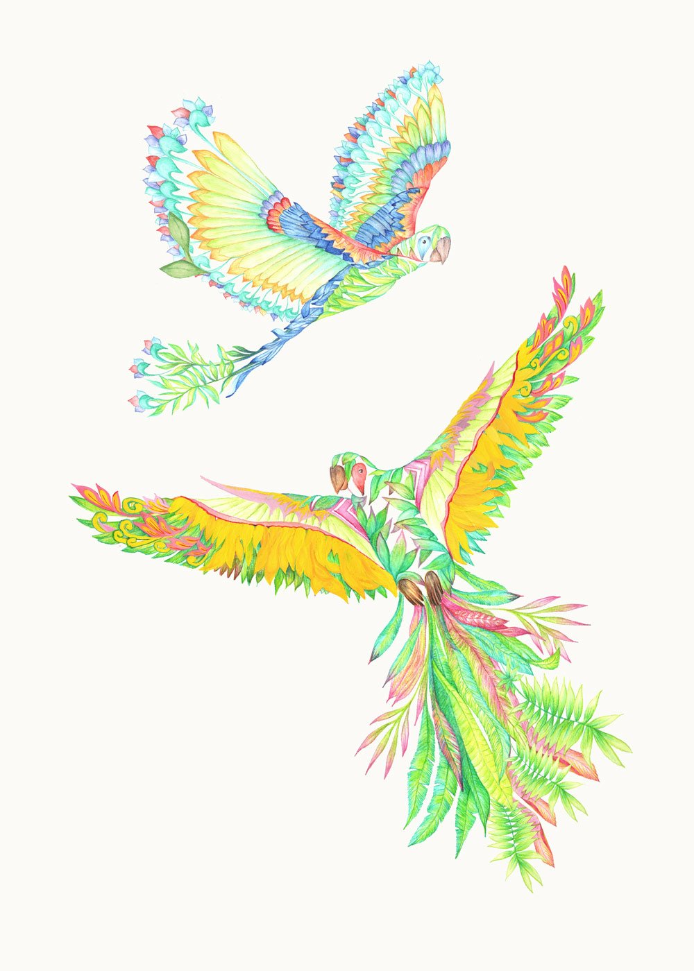 Macaws-Blue-Yellow-1000px.jpg