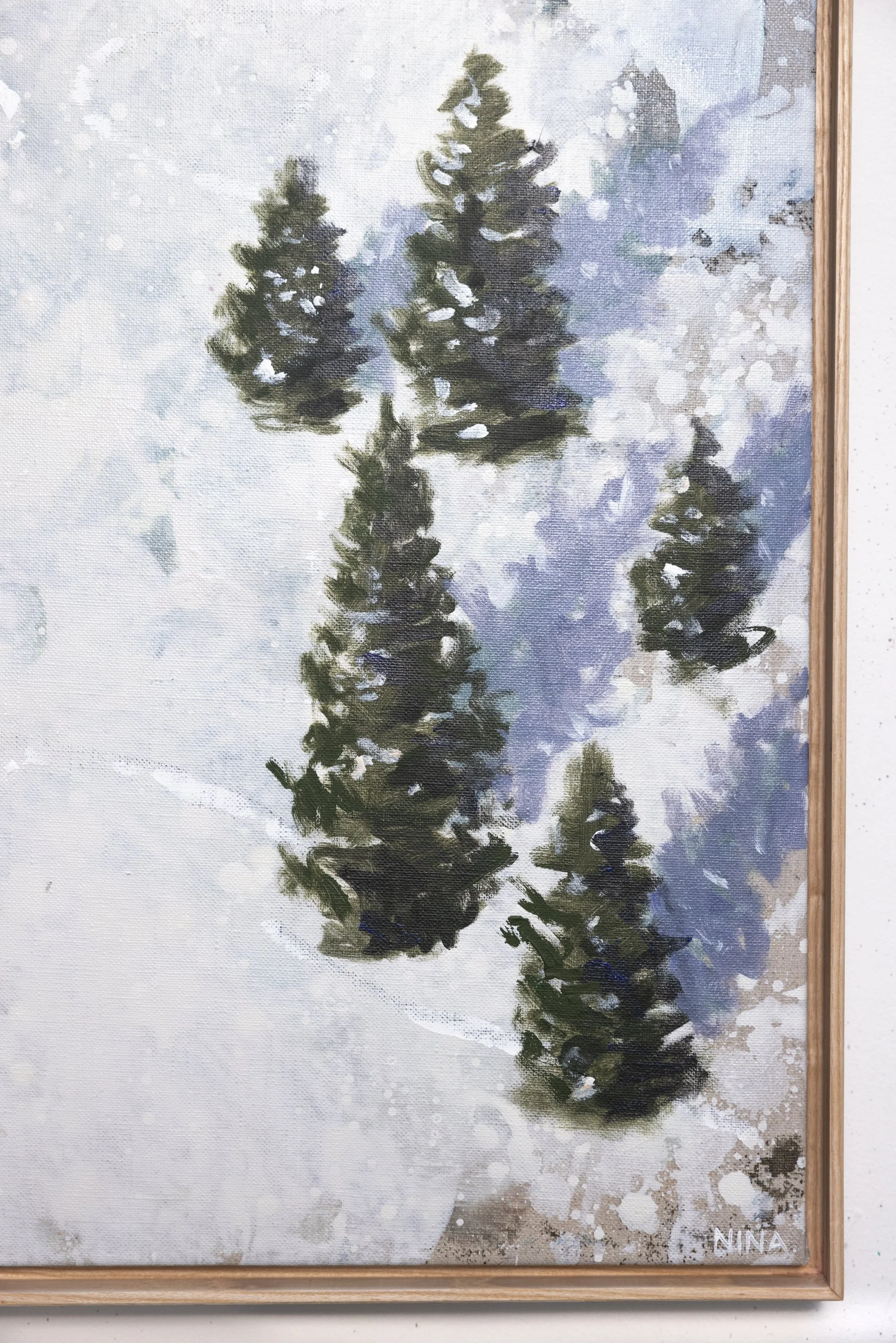 NINA Vallon d’Arbi….jpg