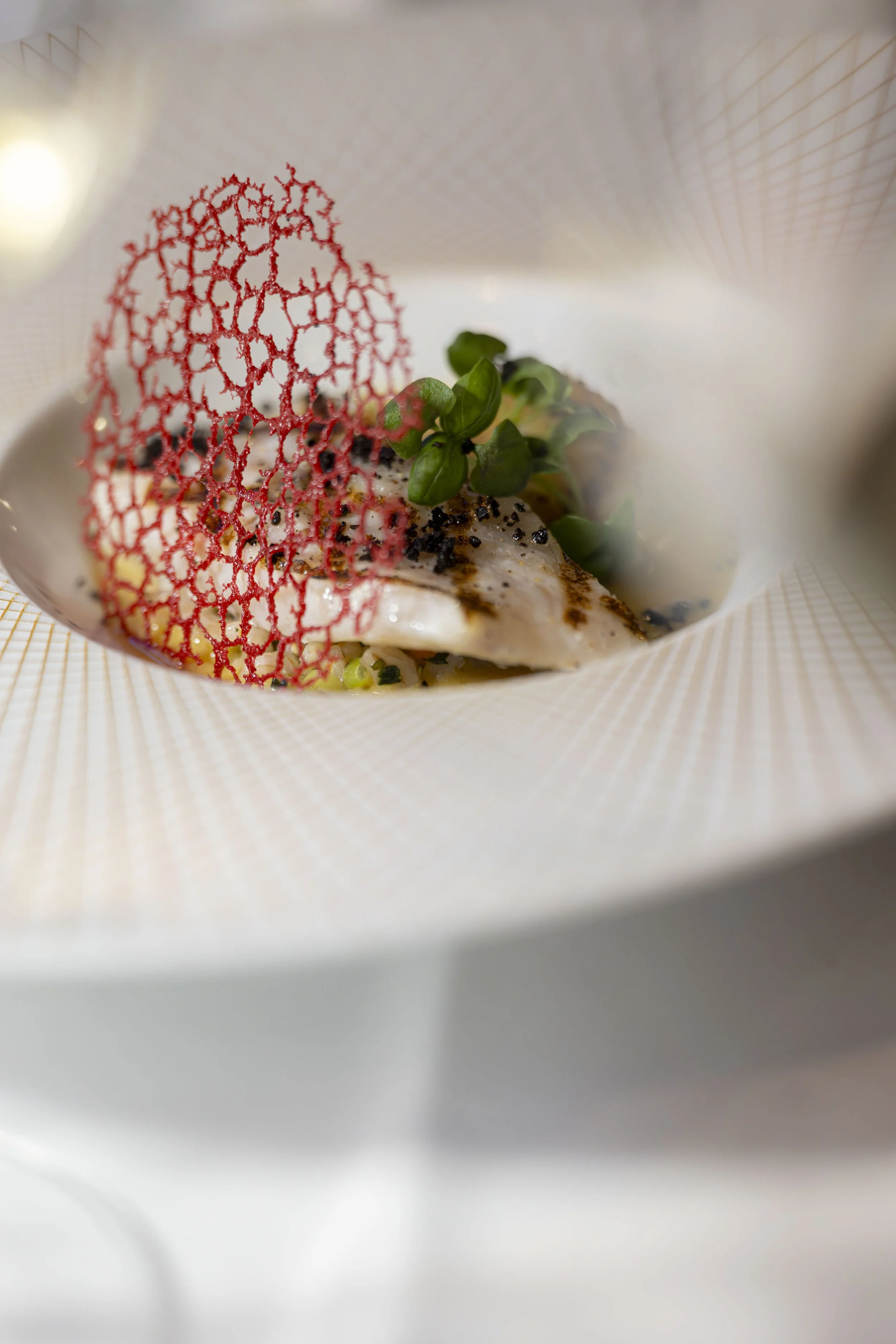 Bluemonque-RestaurantCitrus-20260924_83.jpg