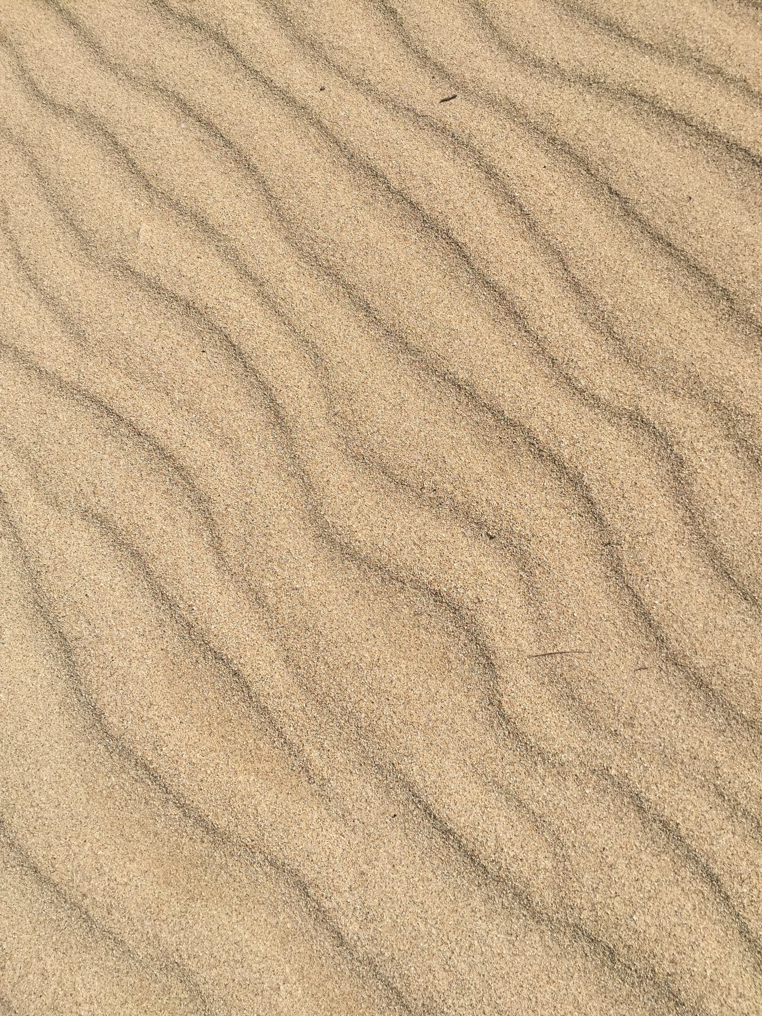 UTPB-Course reportée