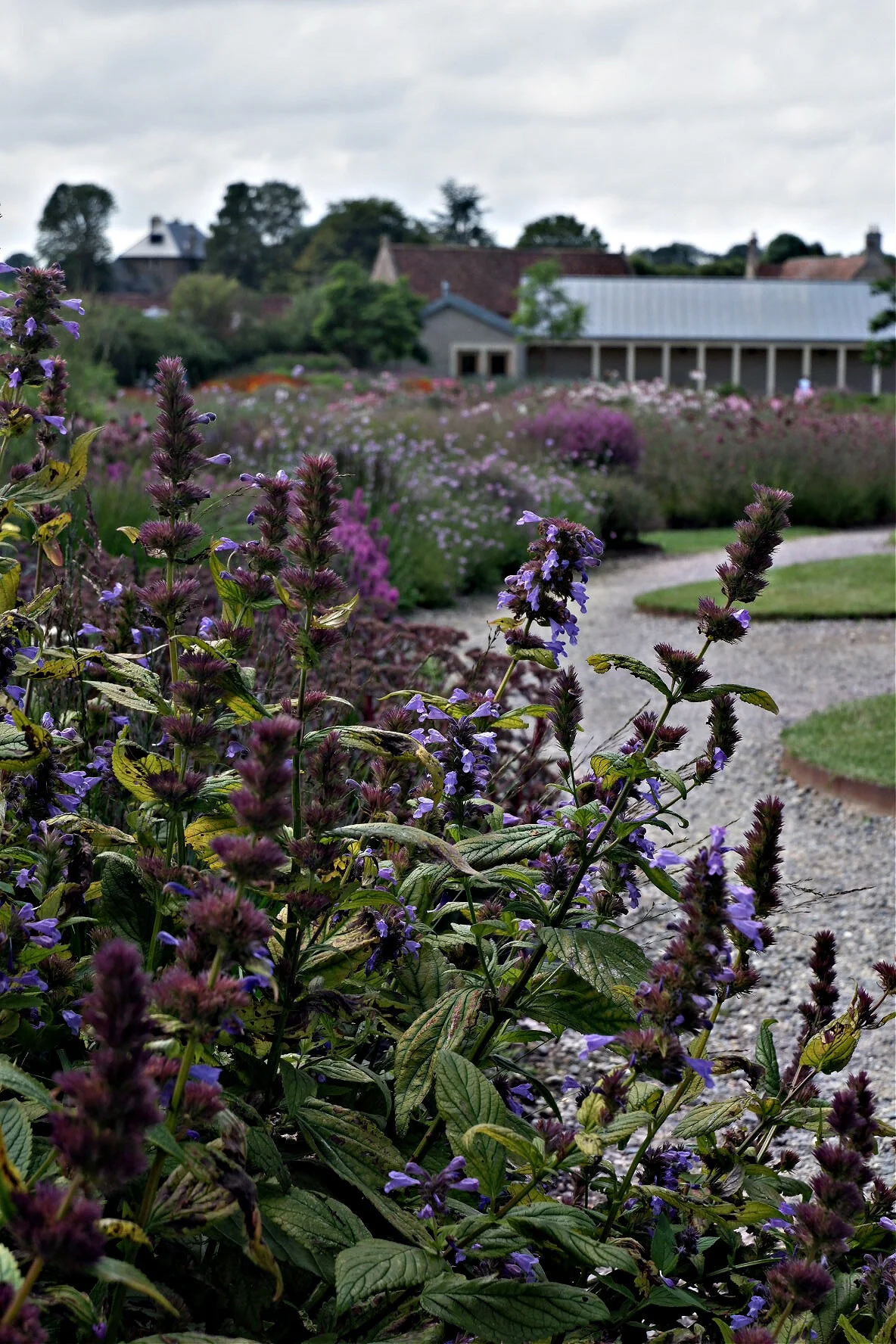 Oudulf Field, Hauser &amp; Wirth