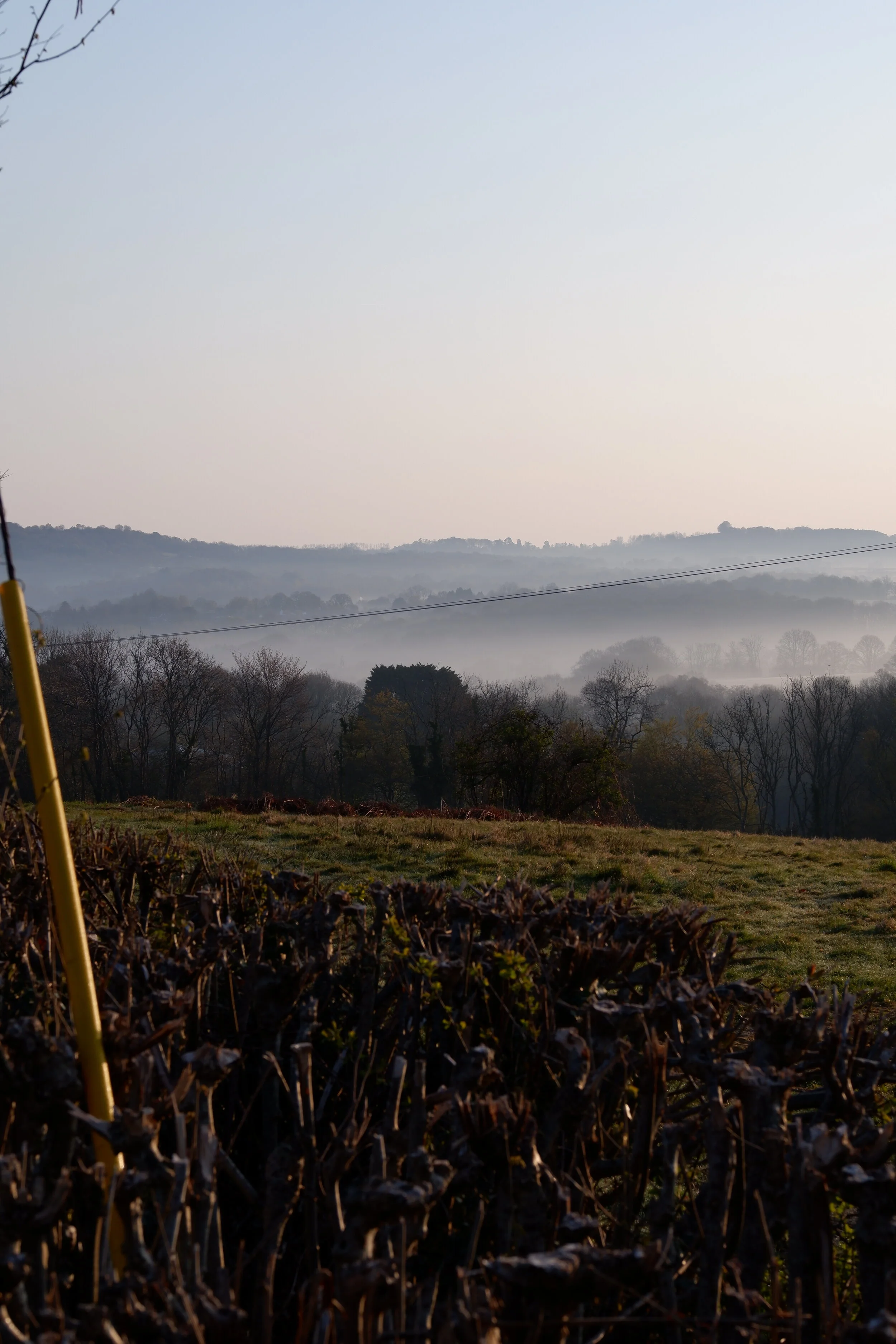 DSCF2613.JPG