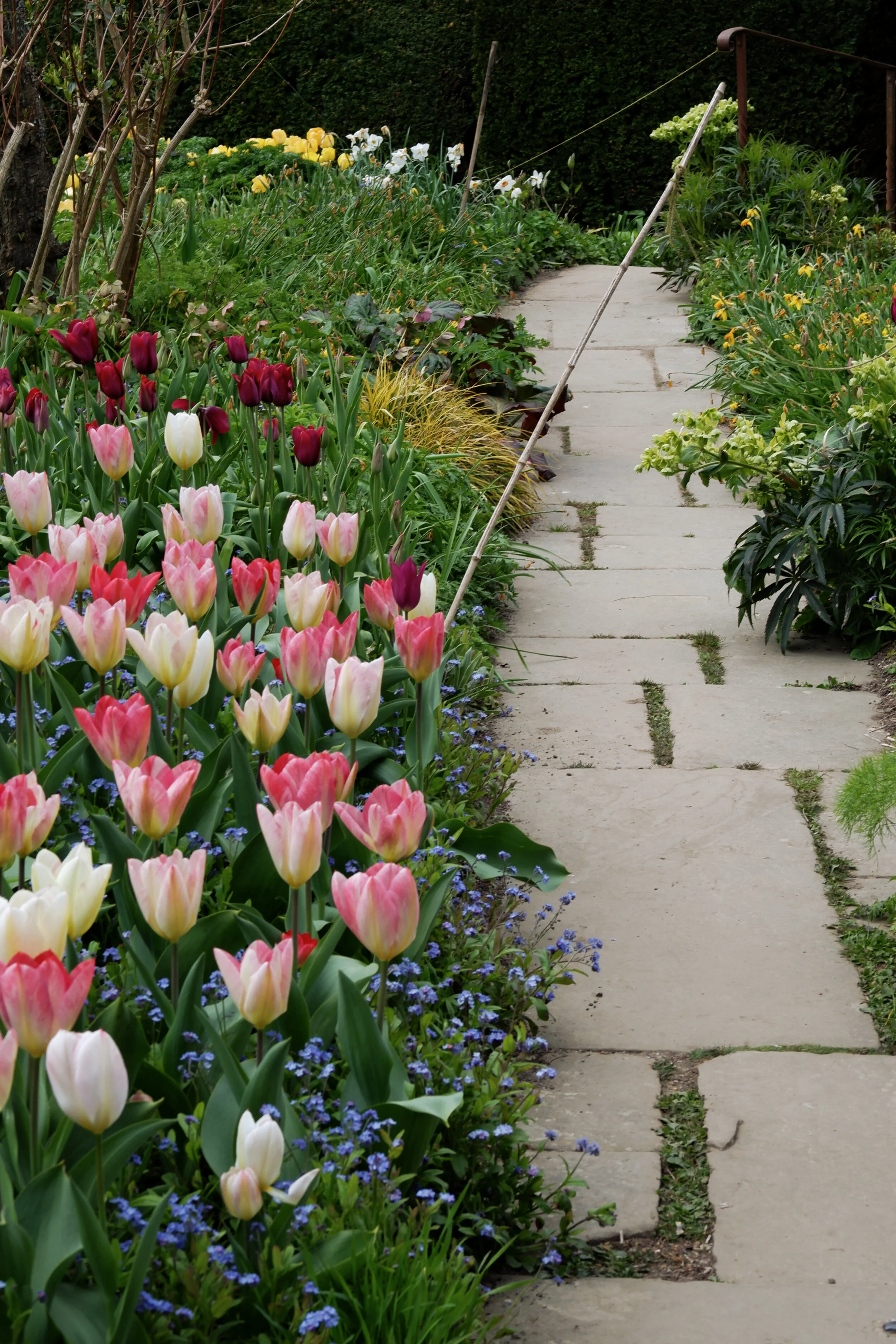 dixter-pathway.jpg