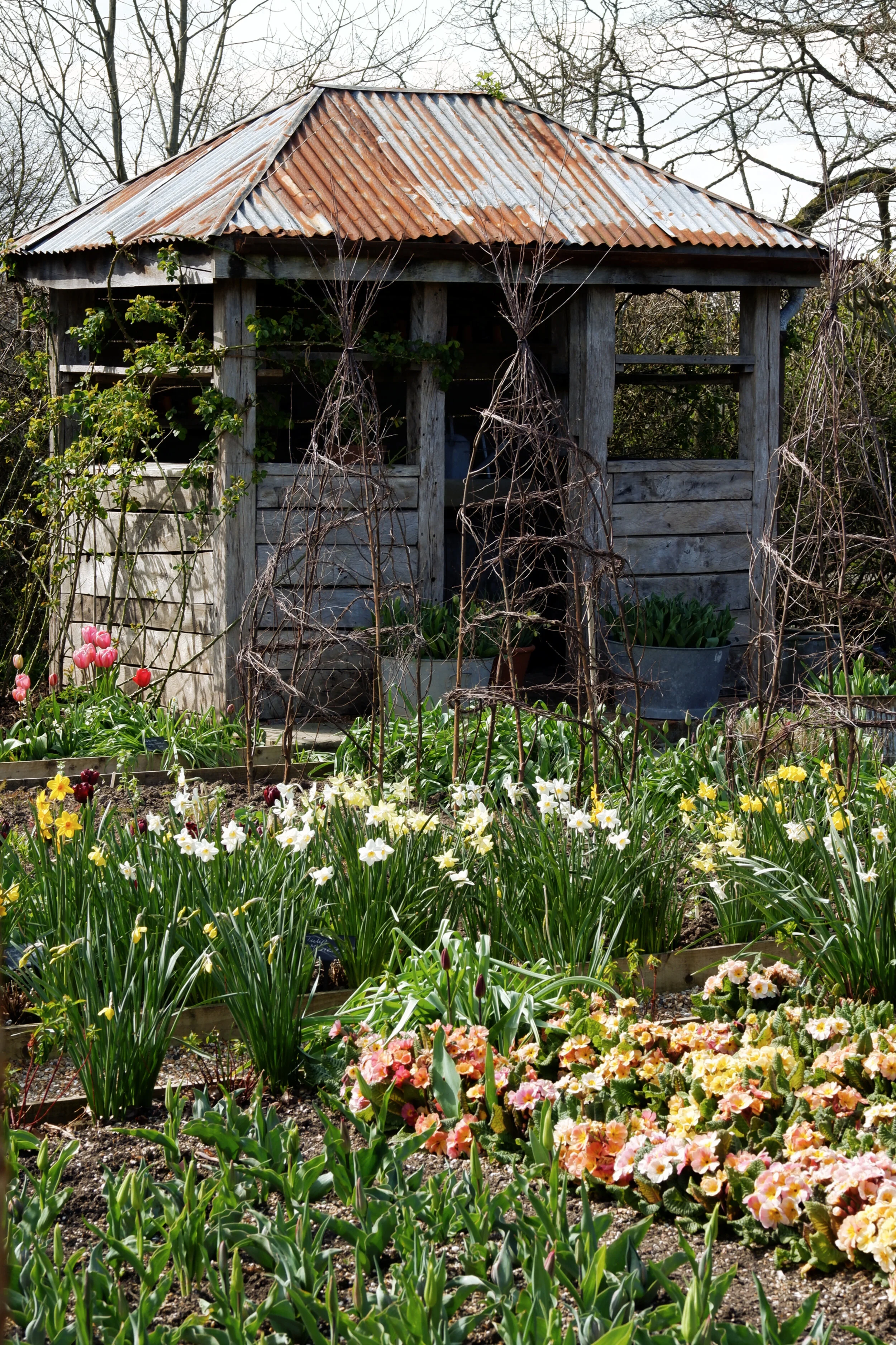 perch-hill-cutting-garden-building.jpg