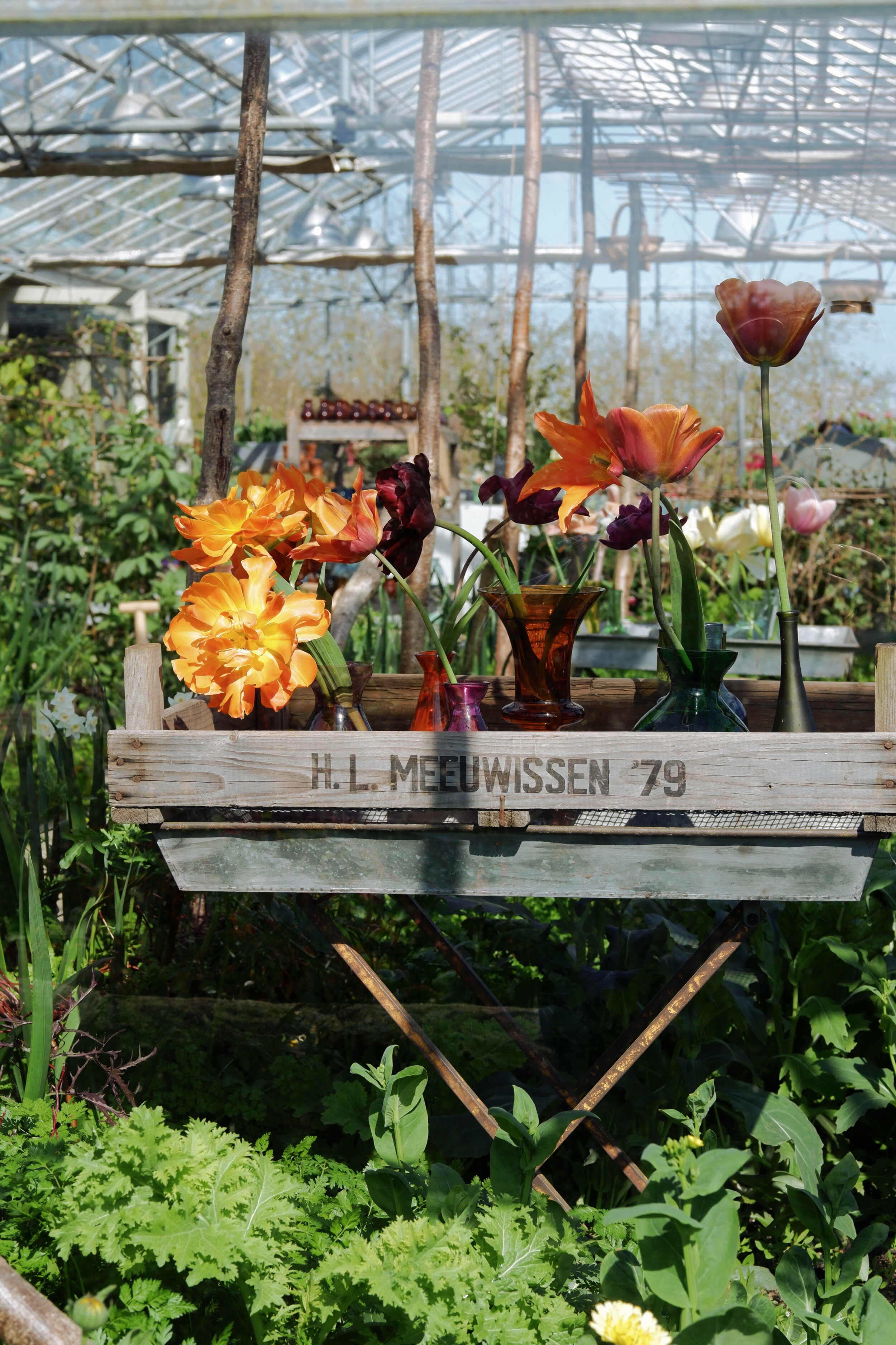 perch-hill-tulips-meeuwissen.jpg