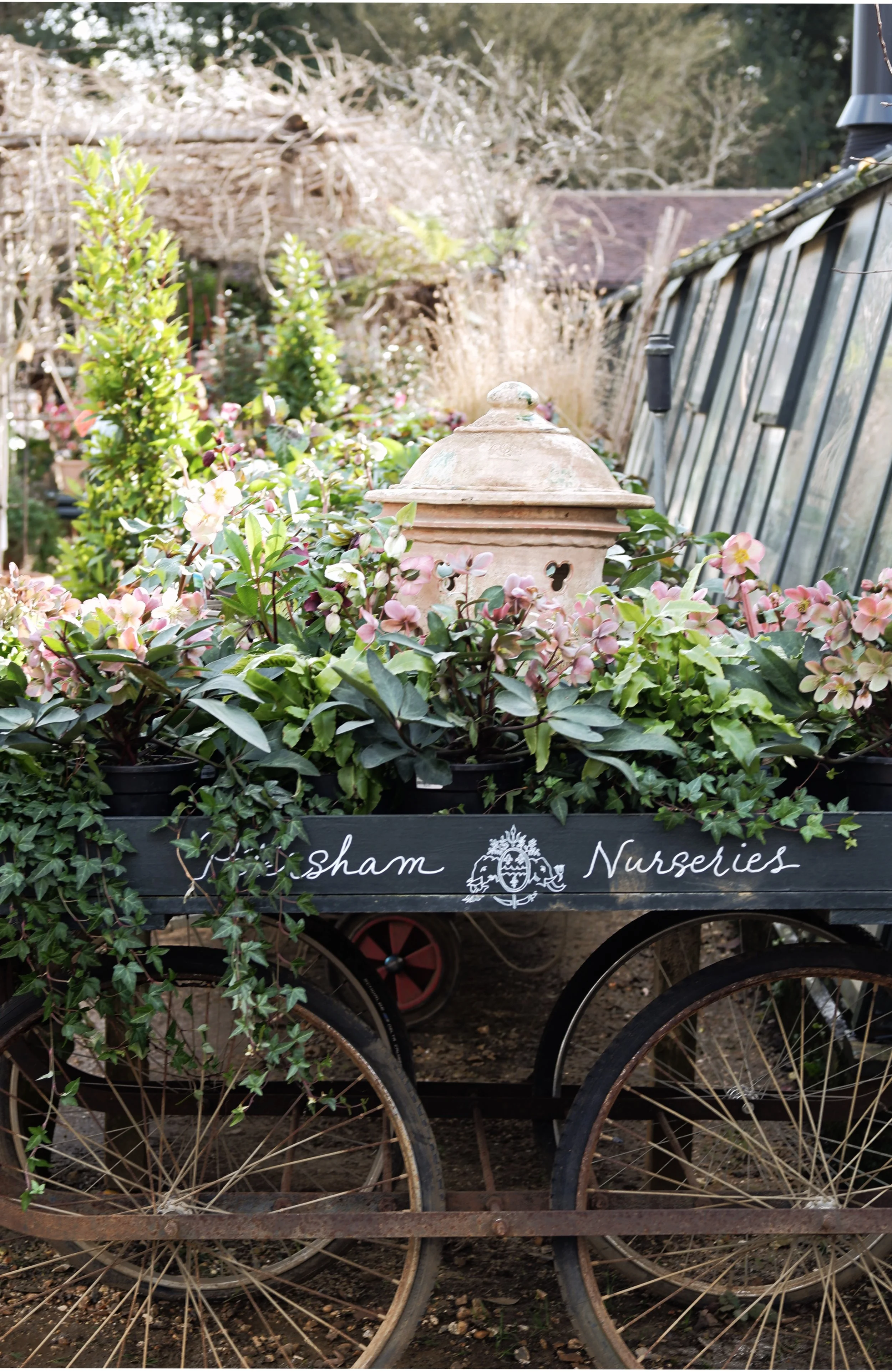 Petersham Sundays