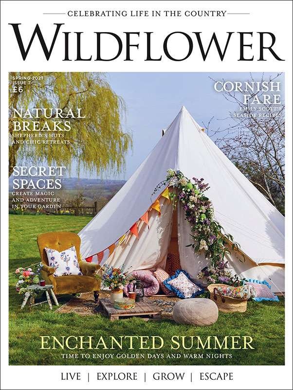 wildflower-COVER-ISSUE-7-SPRING-2021 (1).jpg