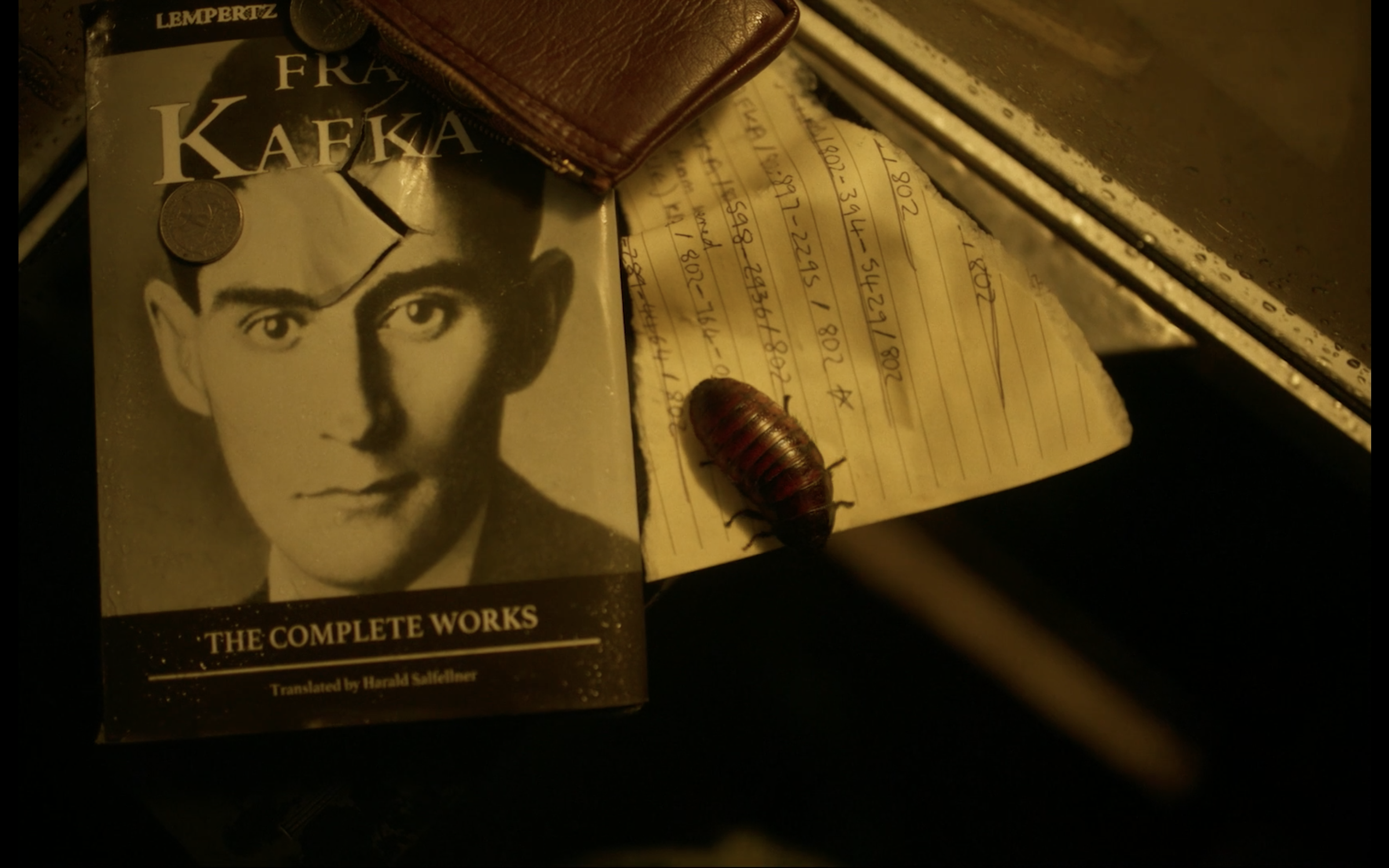 KAFKAS