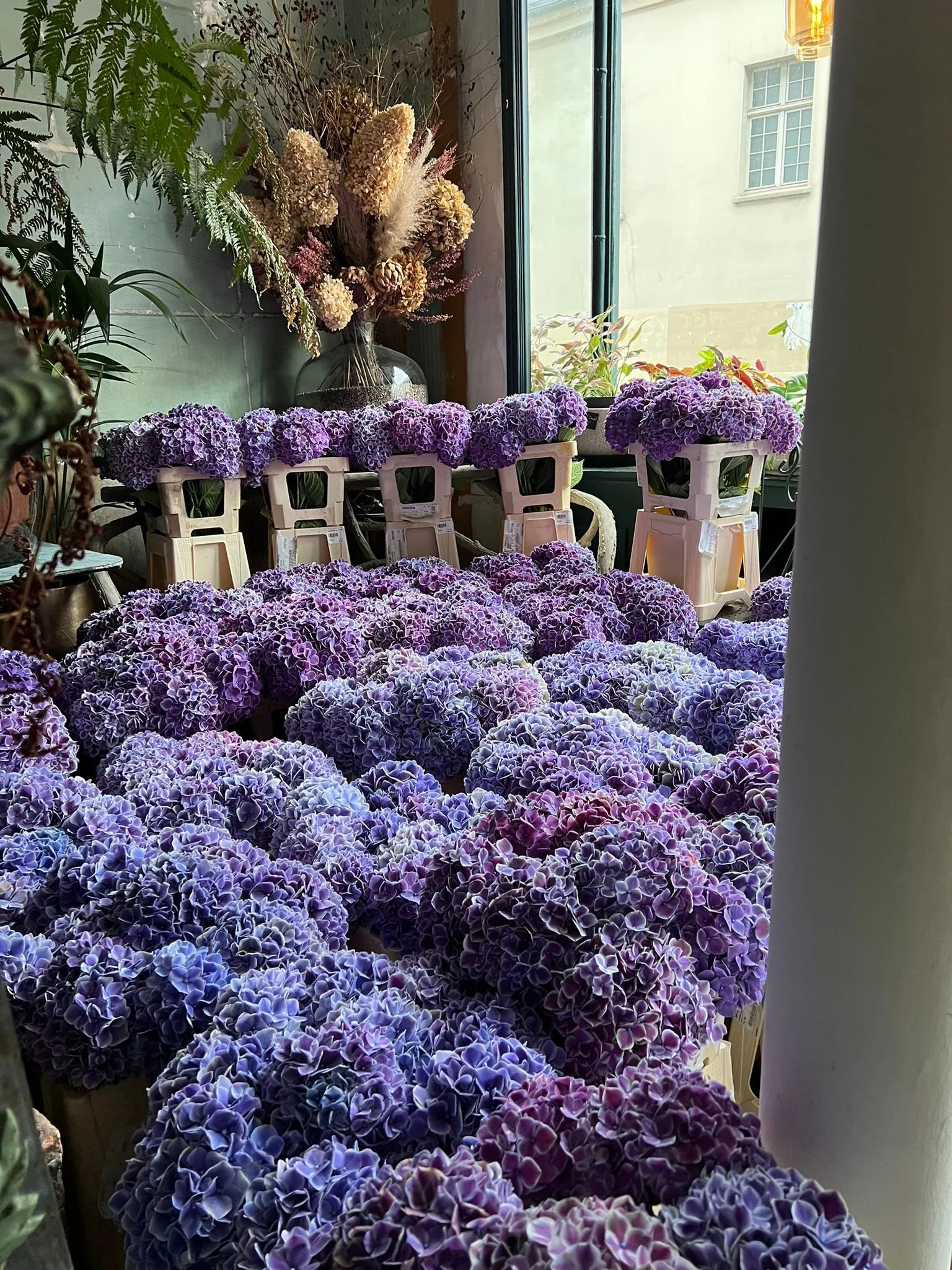 WhatsApp Image 2022-09-30 at 15.02.33.jpeg