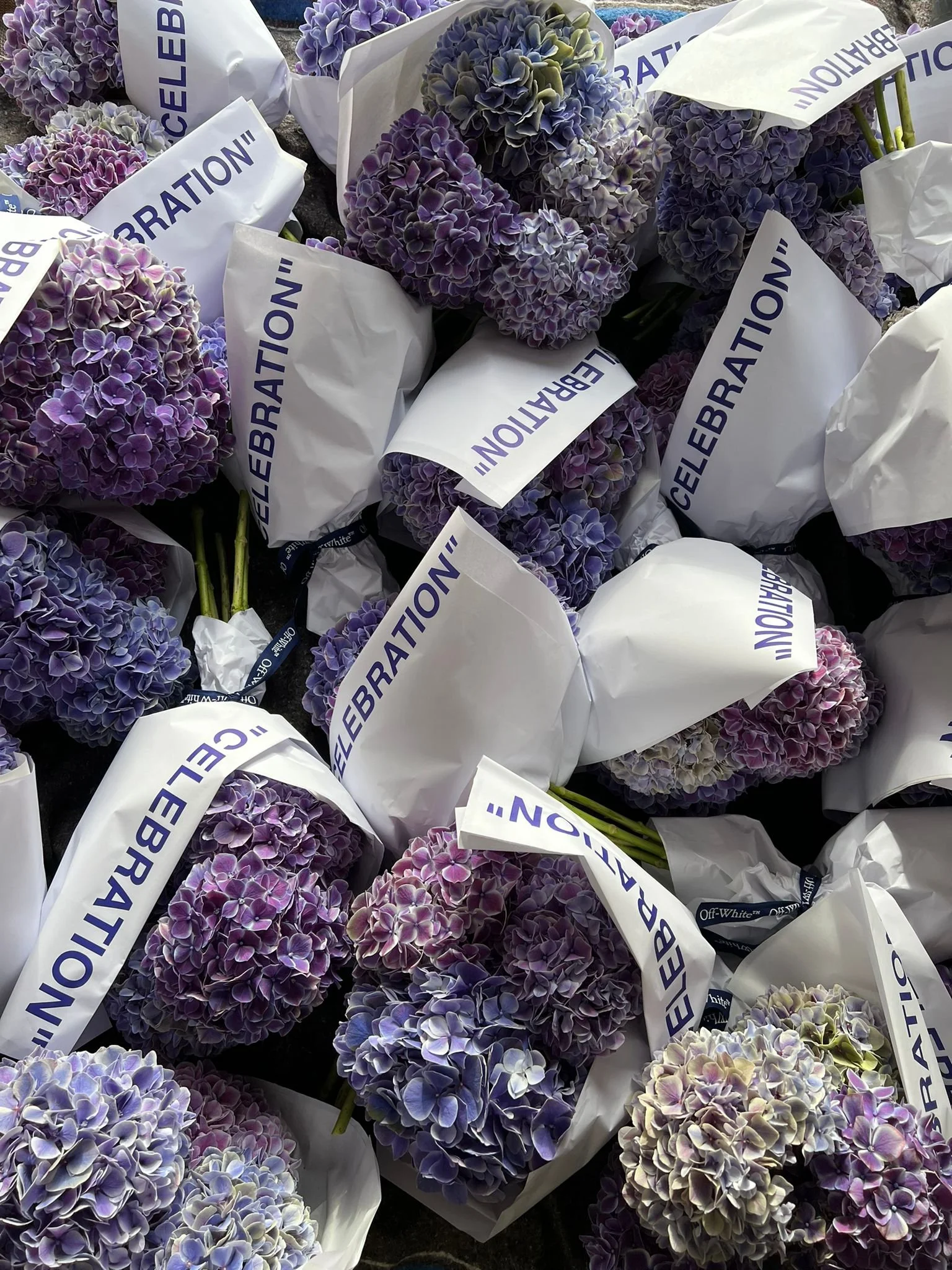 WhatsApp Image 2022-09-30 at 15.02.37.jpeg