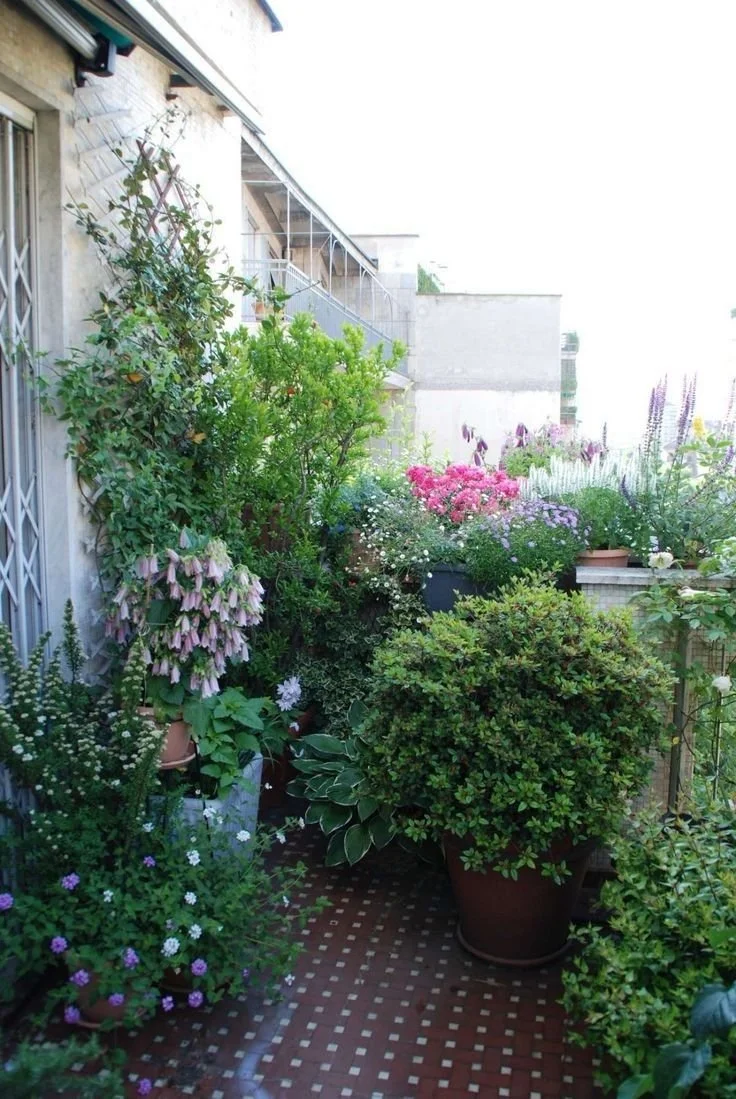 Il terrazzo d’estate: substrato, irrigazione, esposizione