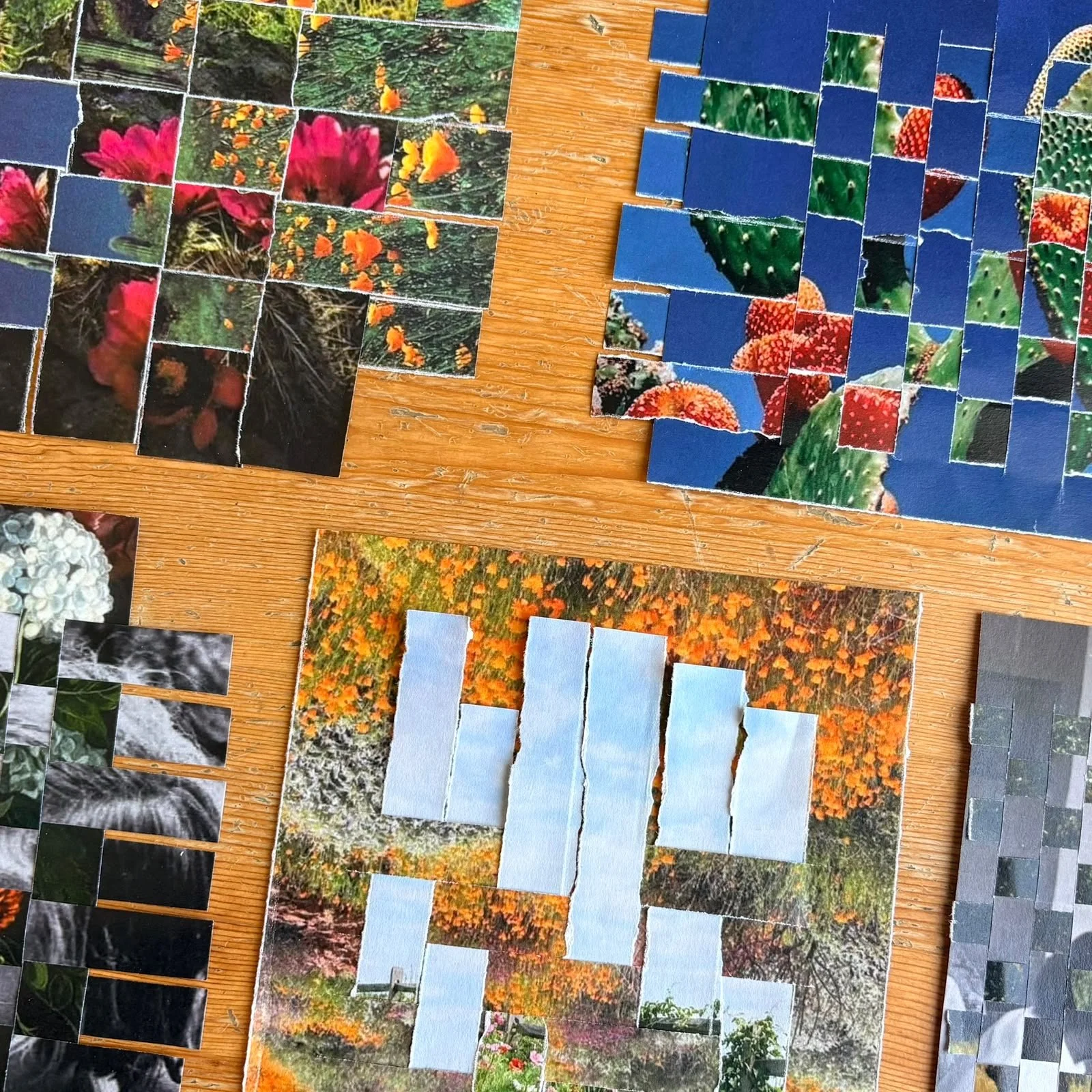 Photo Grid Collage