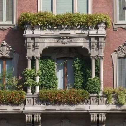 Il terrazzo d’estate: substrato, irrigazione, esposizione