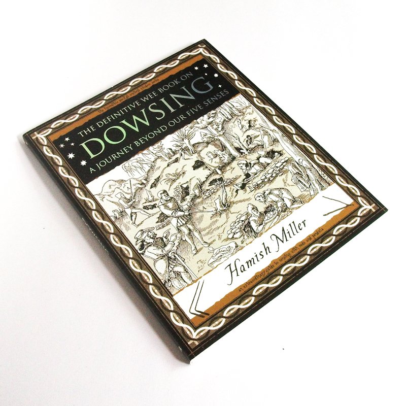 Dowsing: A Journey Beyond Our Five Senses Book