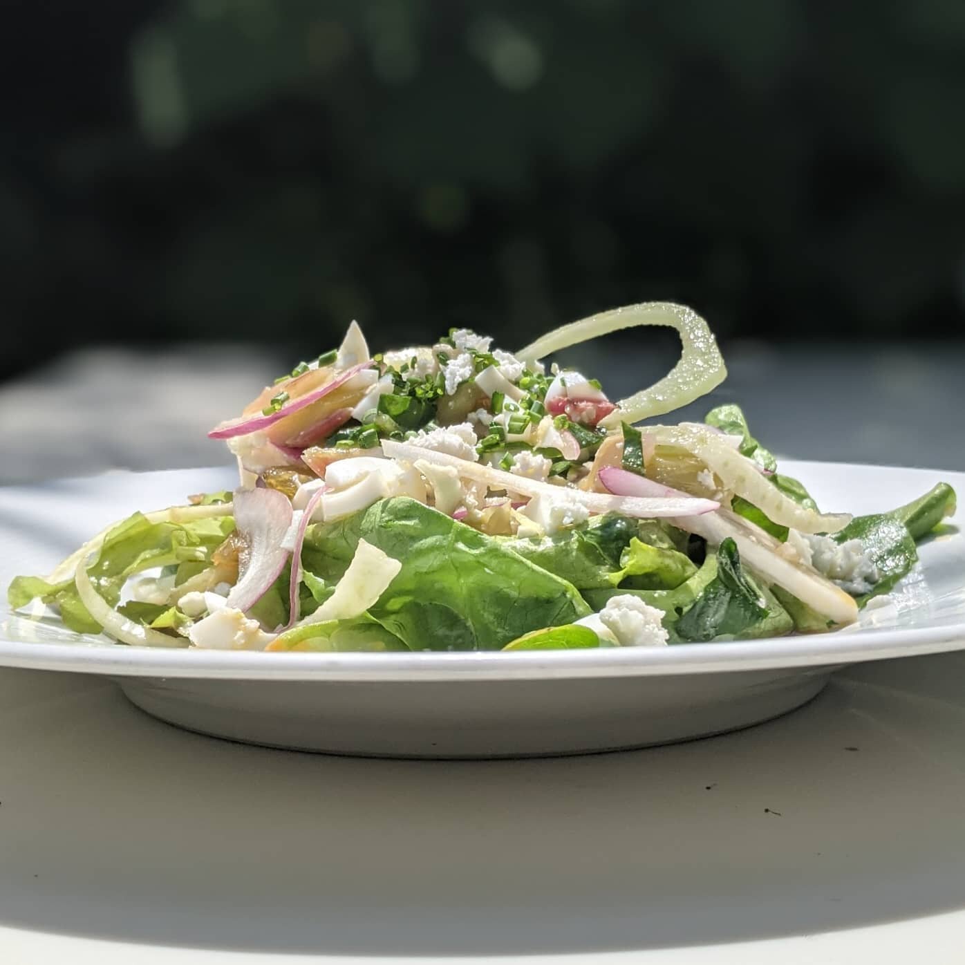 Fresh picked greens and rhubarb from our backyard garden amp up the freshness in today's salad special. Show-Stealer award goes to the orange+mango vinaigrette 👏👏
&bull;
&bull;
#zackbruell #saladspecial #gardengreens #gardenfresh #clevelandeats #un