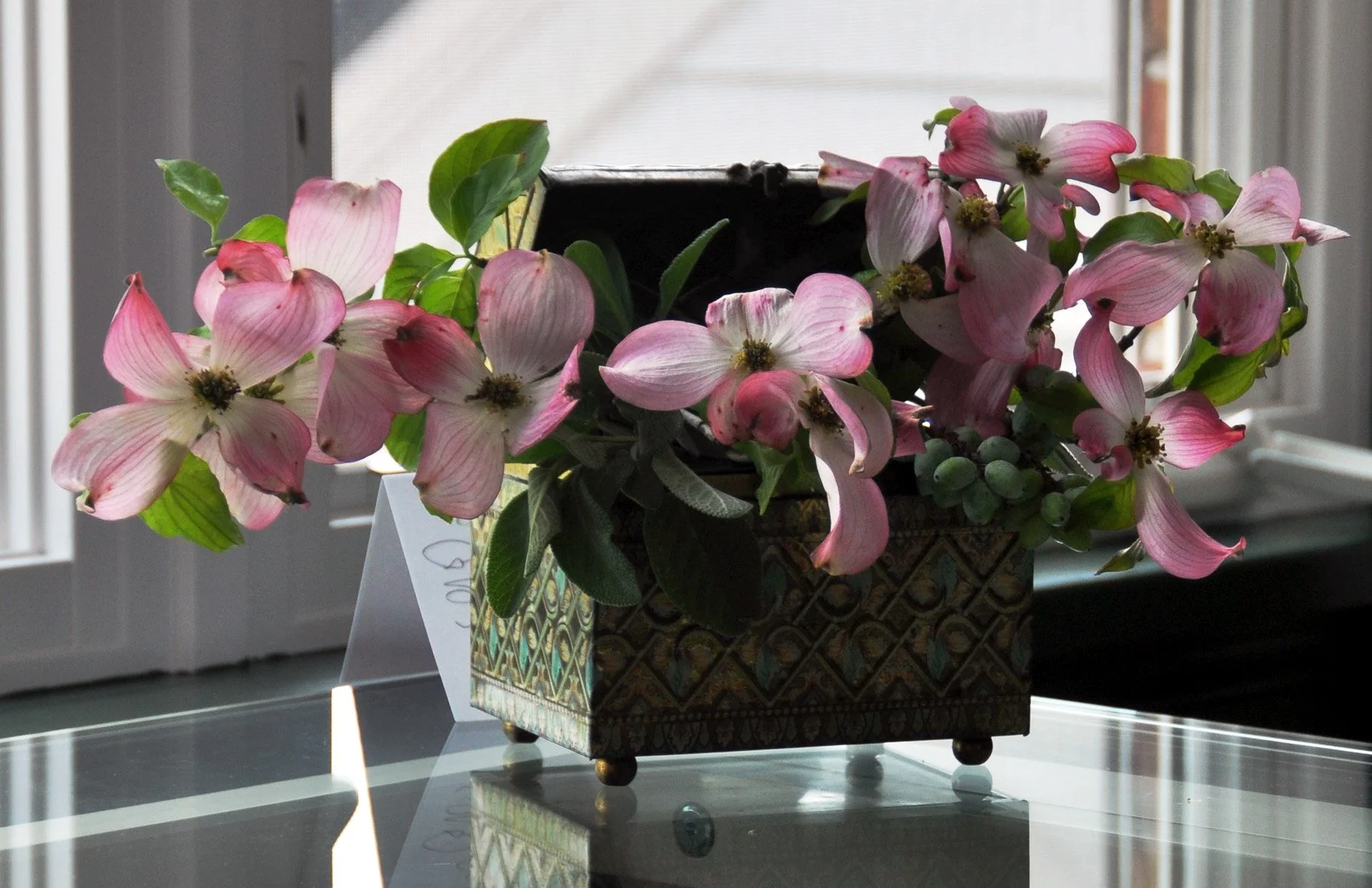 Metomkin dogwood.jpg