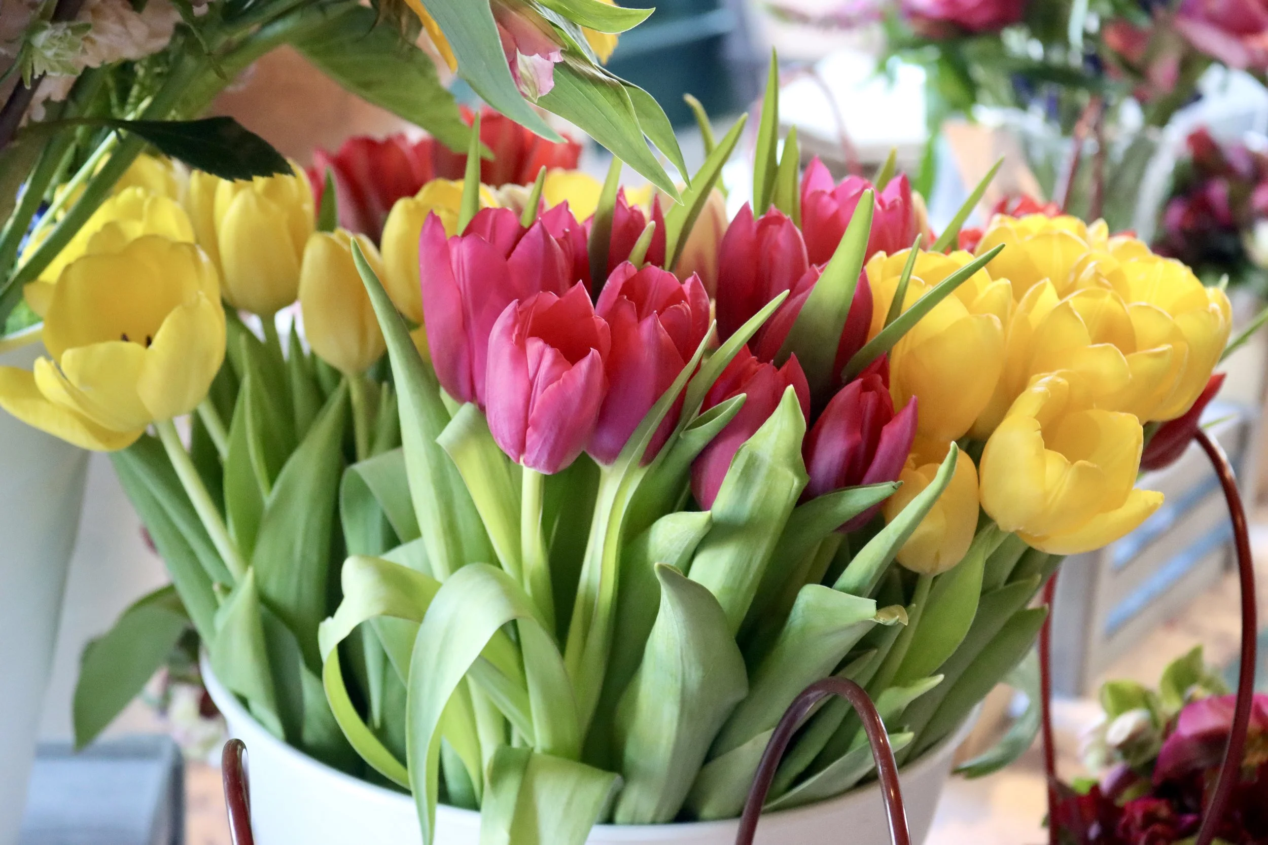 Photo Mar 10 2025, 9 08 15 AM.jpg