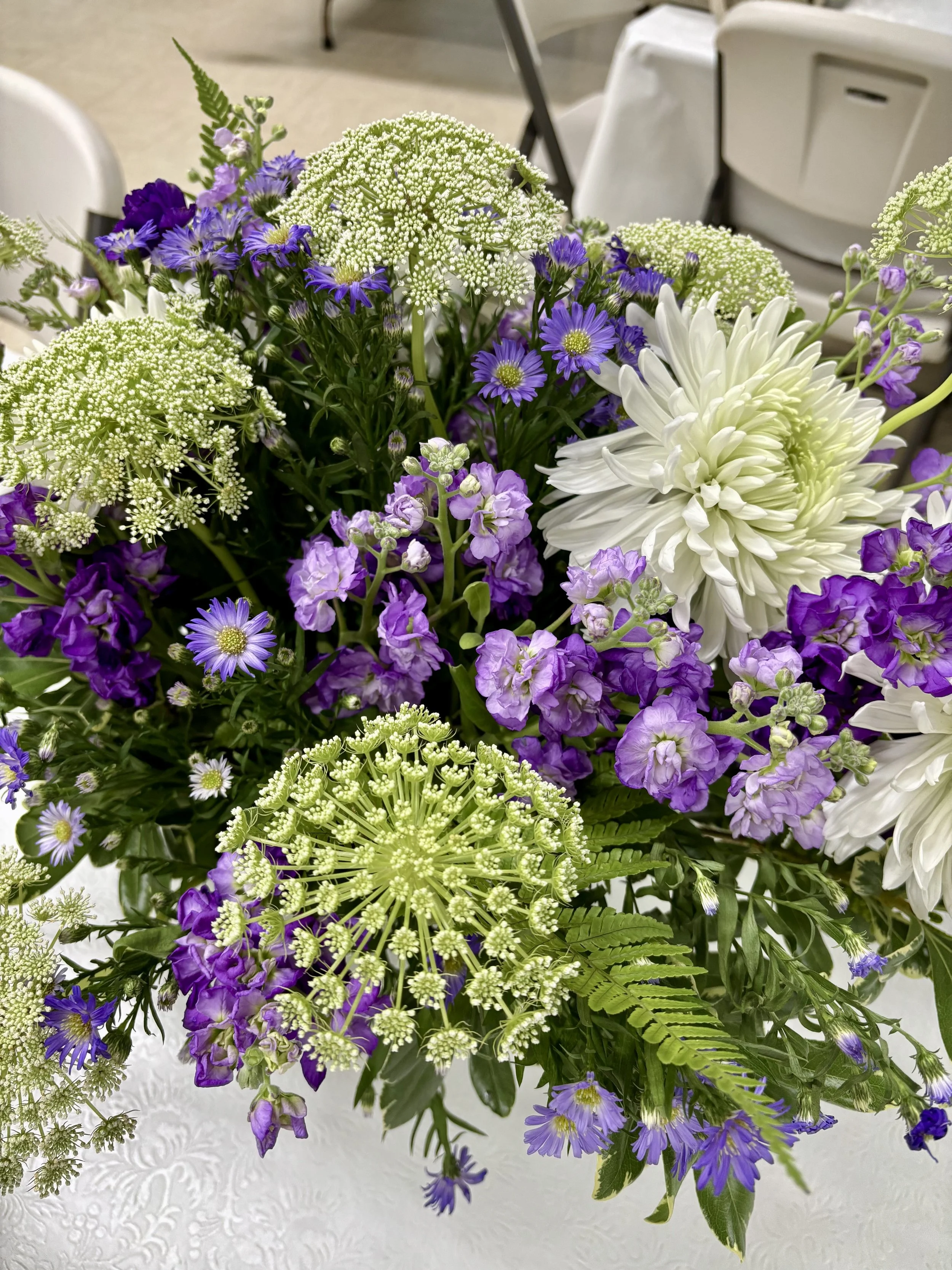 Photo Sep 16 2025, 2 43 03 PM.jpg