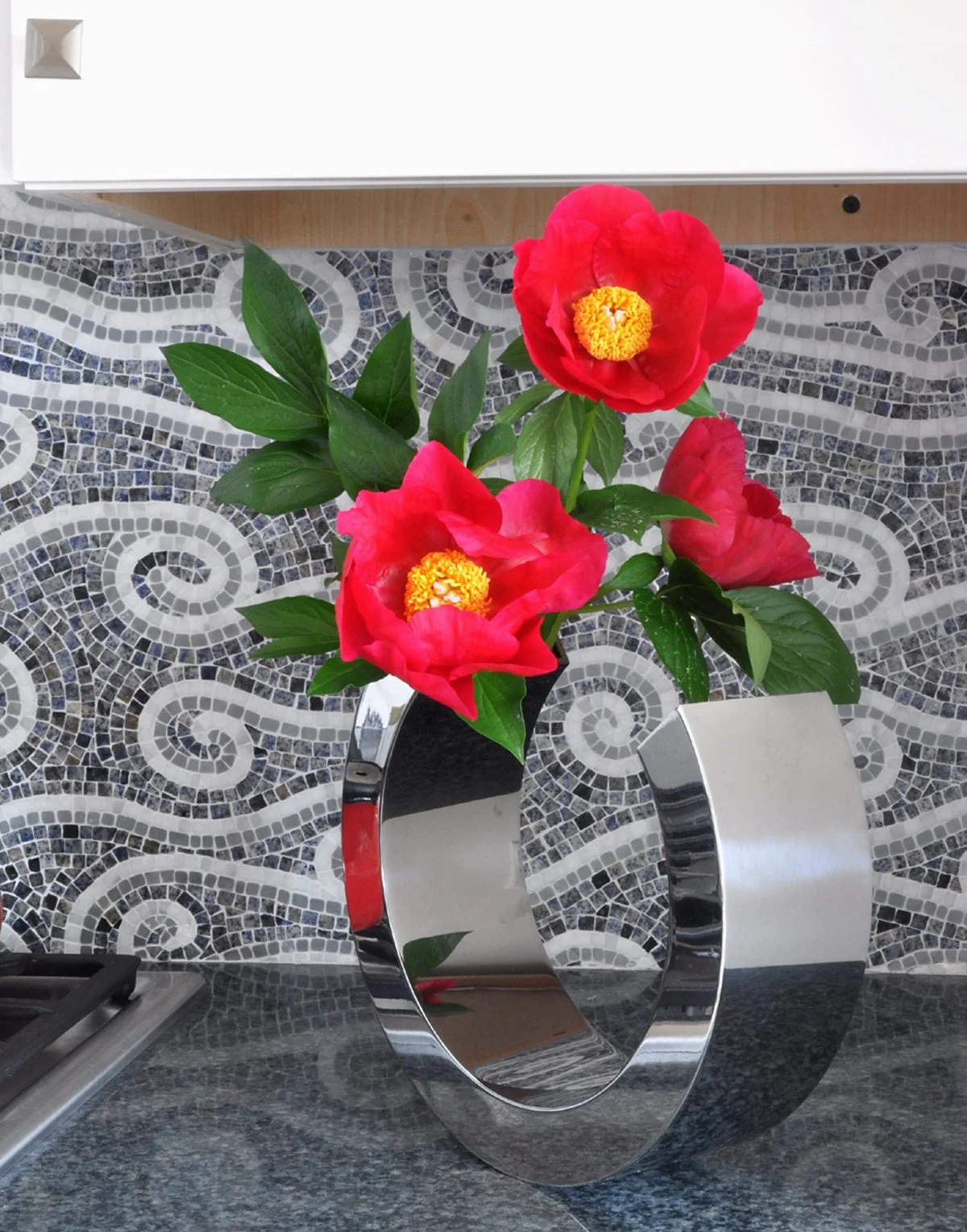 Metomkin kitchen detail 2017.jpg