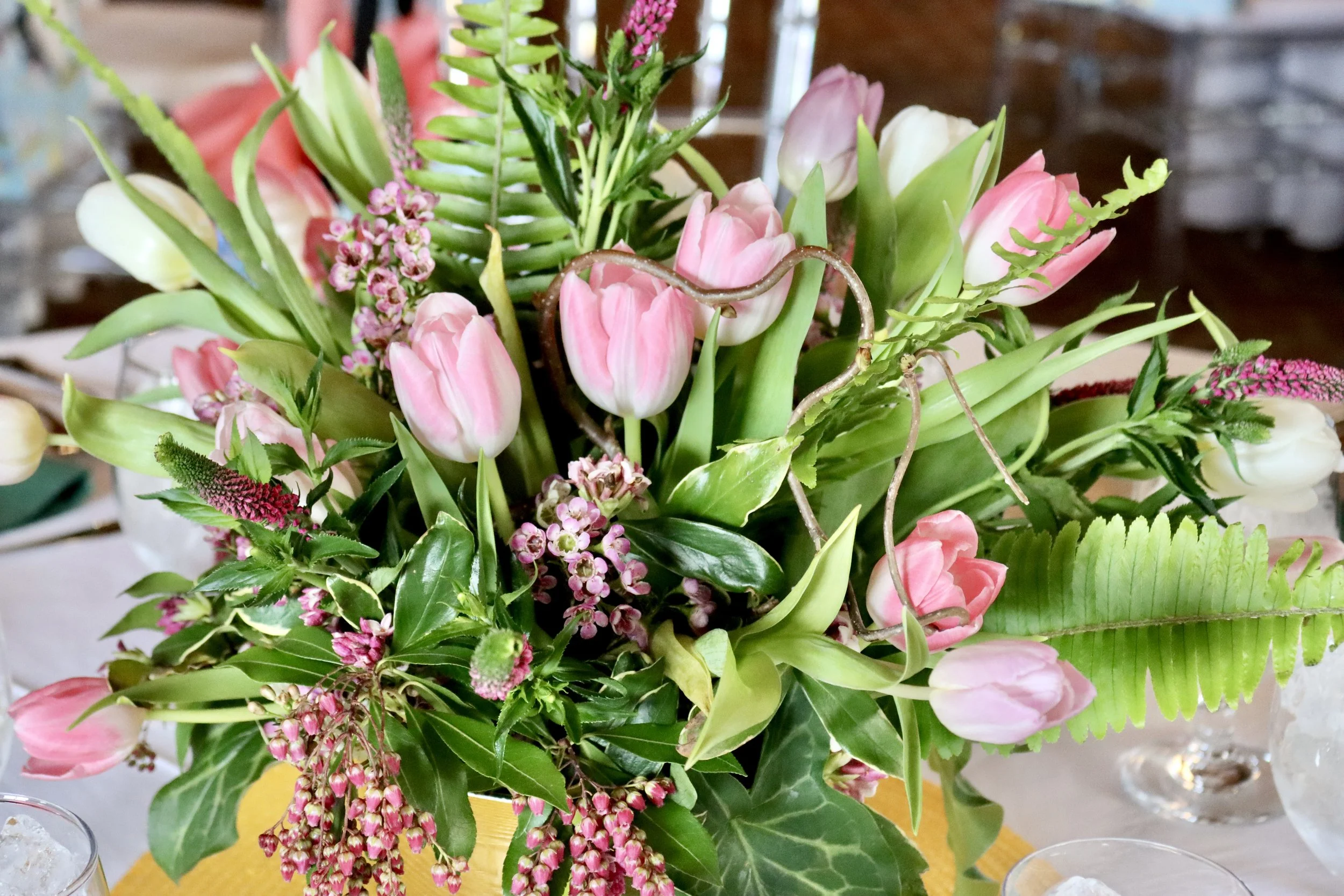 Photo Mar 10 2025, 9 02 08 AM.jpg