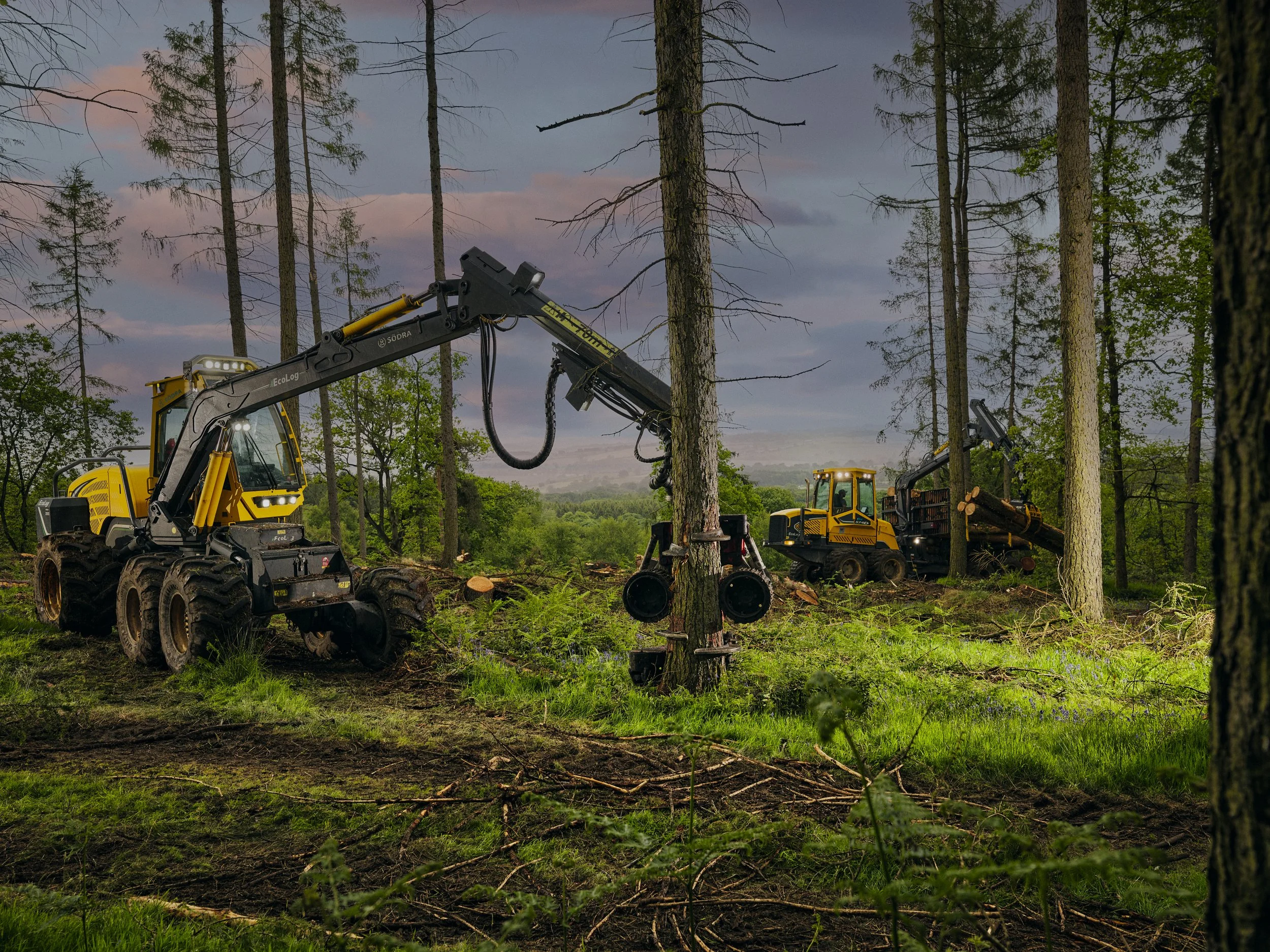 HF Shoot22052636700.jpg