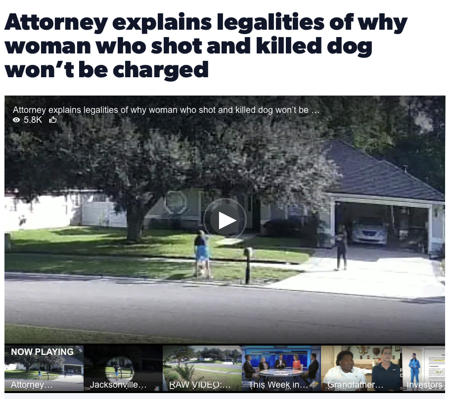 Belkis Plata discusses the liability of a dog owner who shot another dog that attacked her dog.