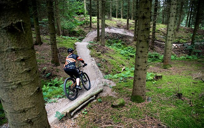 Mand cykler i skov