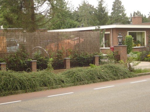 maassen.jpg