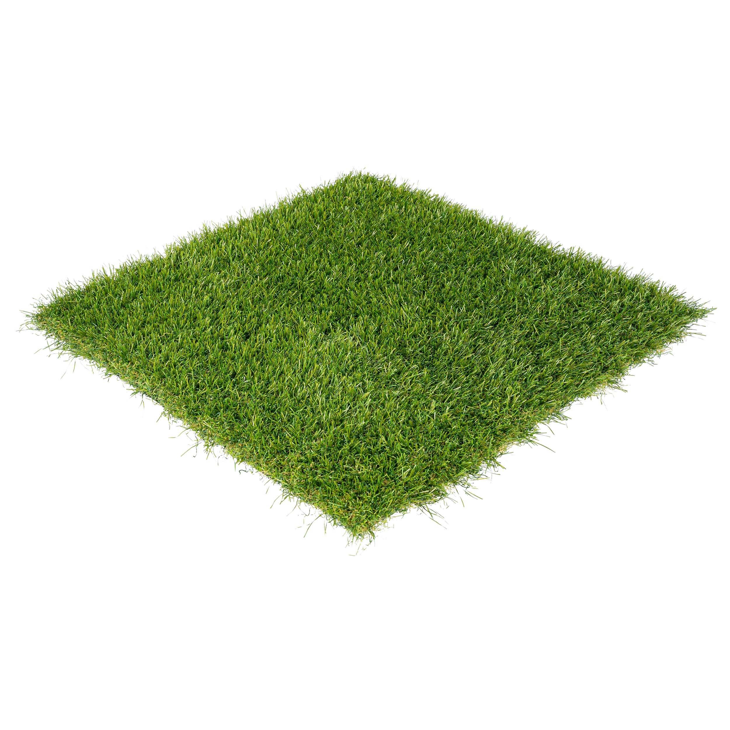 Kustgras voor je tuin