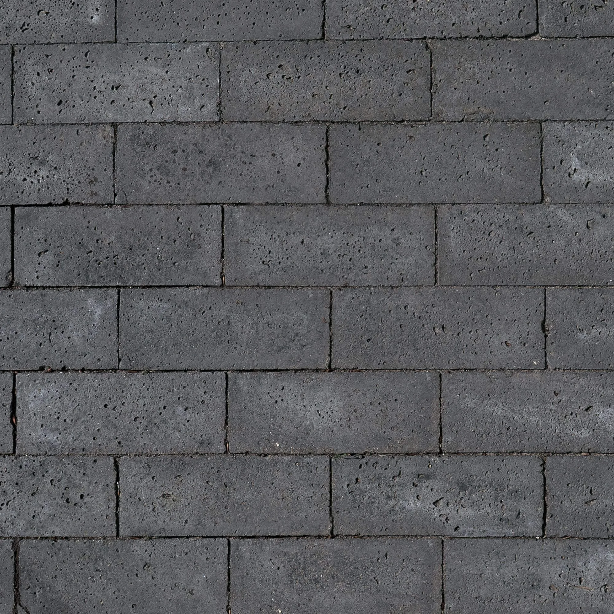 Oud Hollandse dikformaat Schellevis Carbon