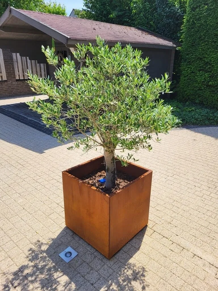 Pllantenbak cortenstaal vierkant 40x40x40 cm