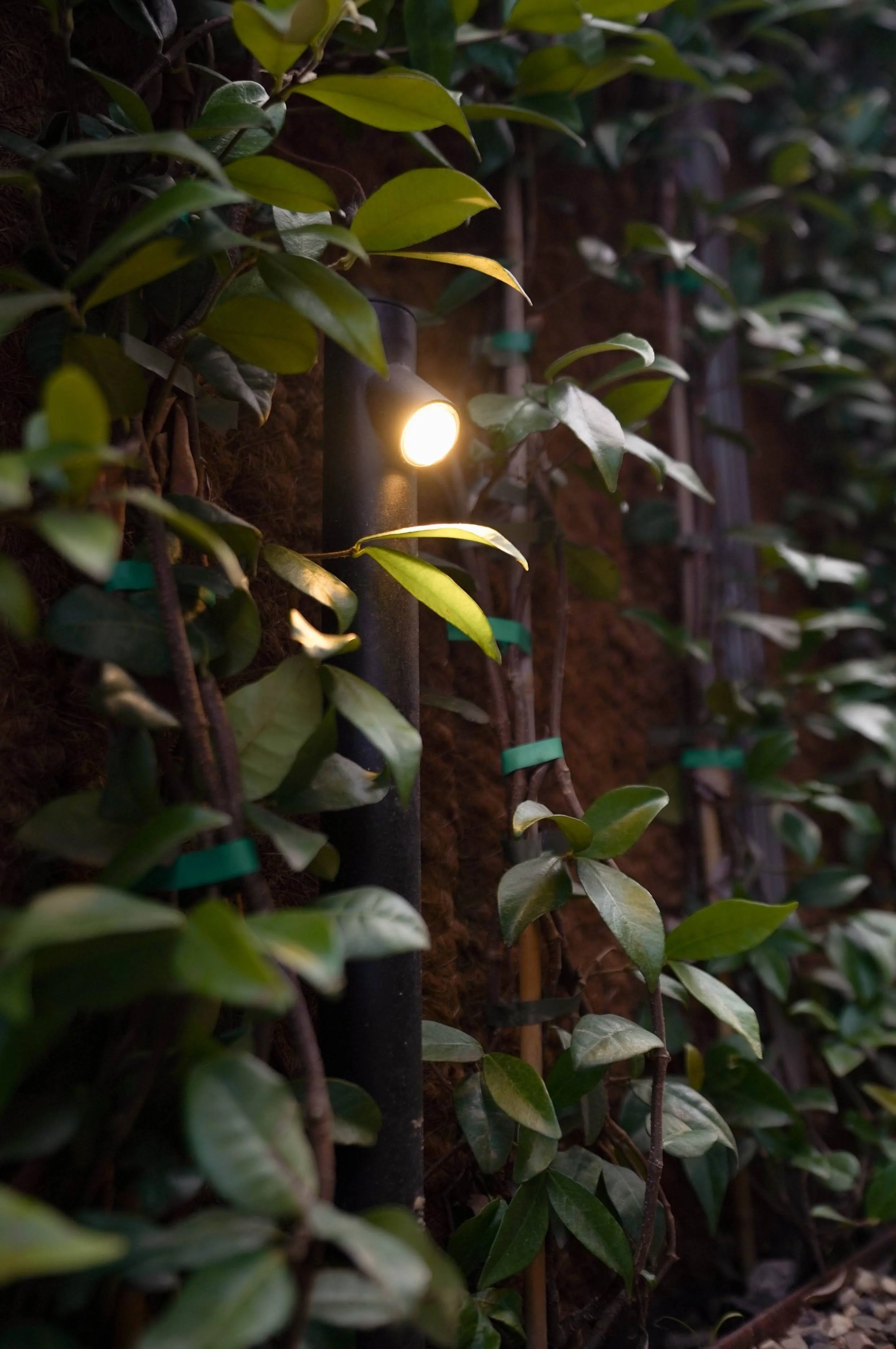Lyslight buitenverlichting