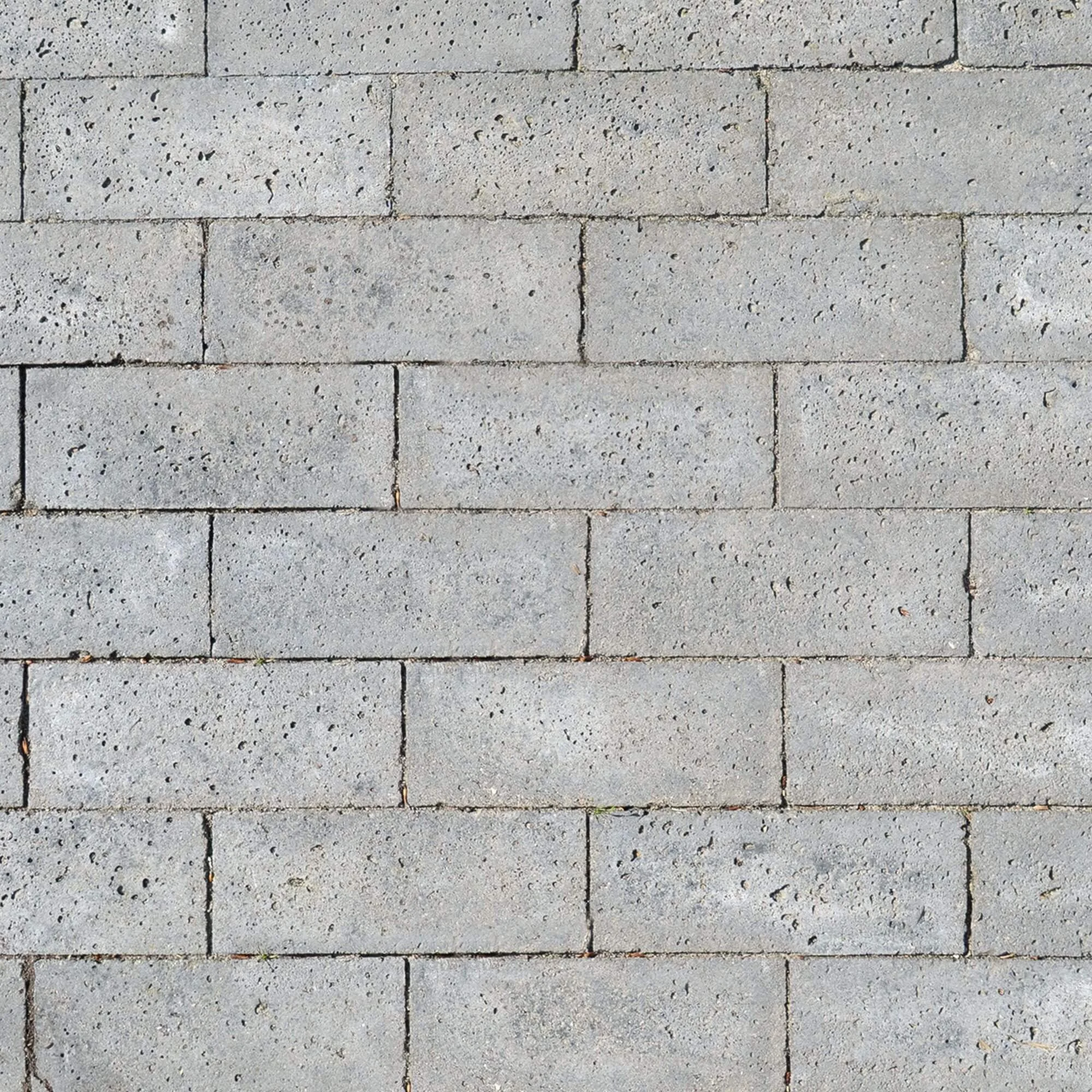 Oud Hollandse Schellevis dikformaat Grijs