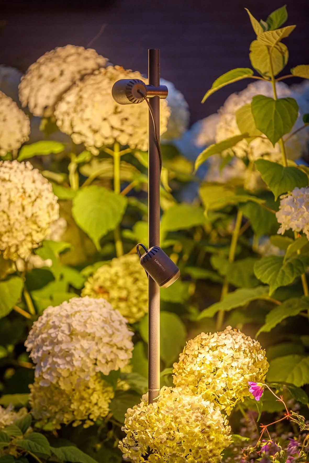 Buitenverlichting planten