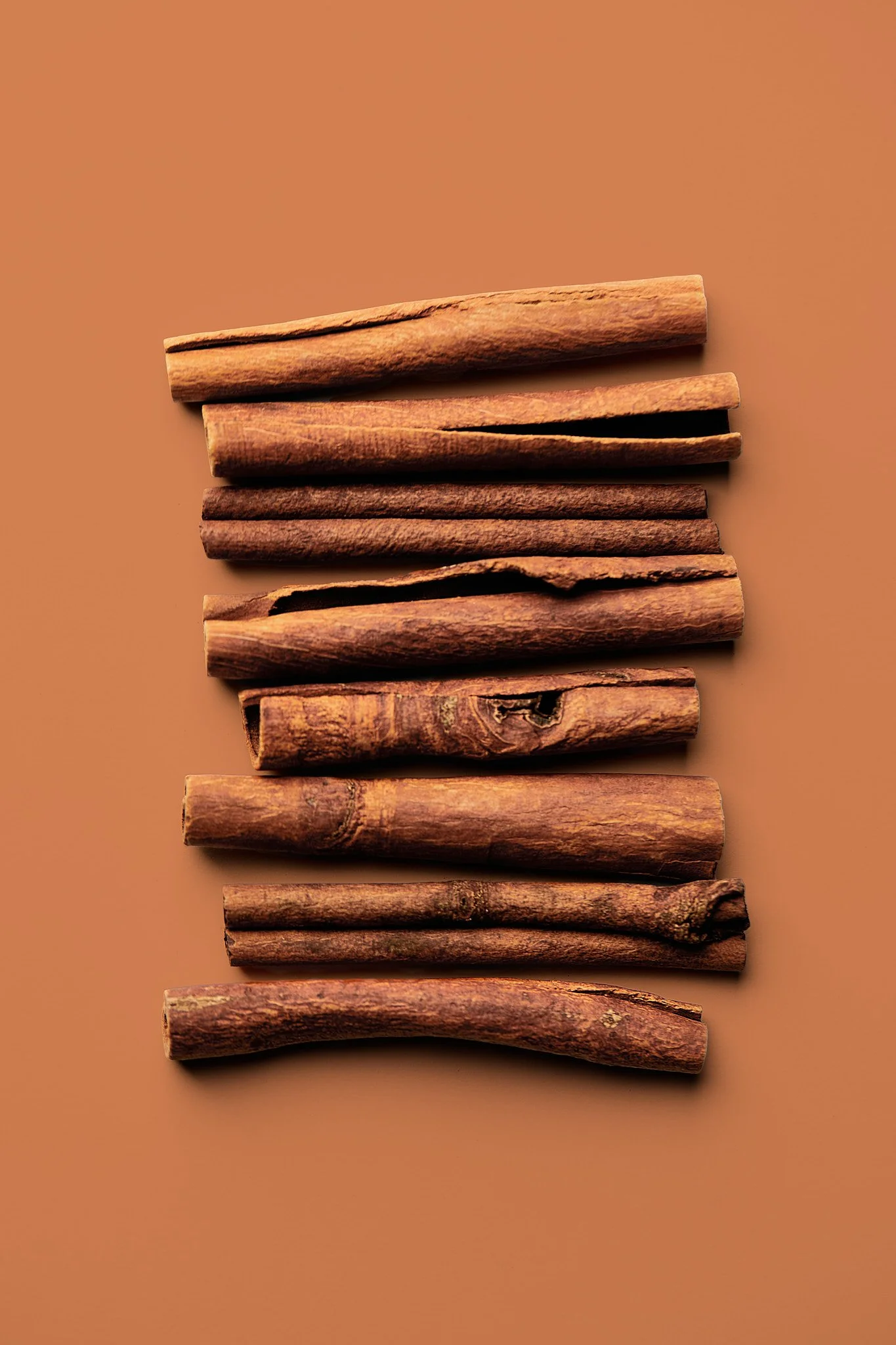 Zimt by Sarah Neuner Photography