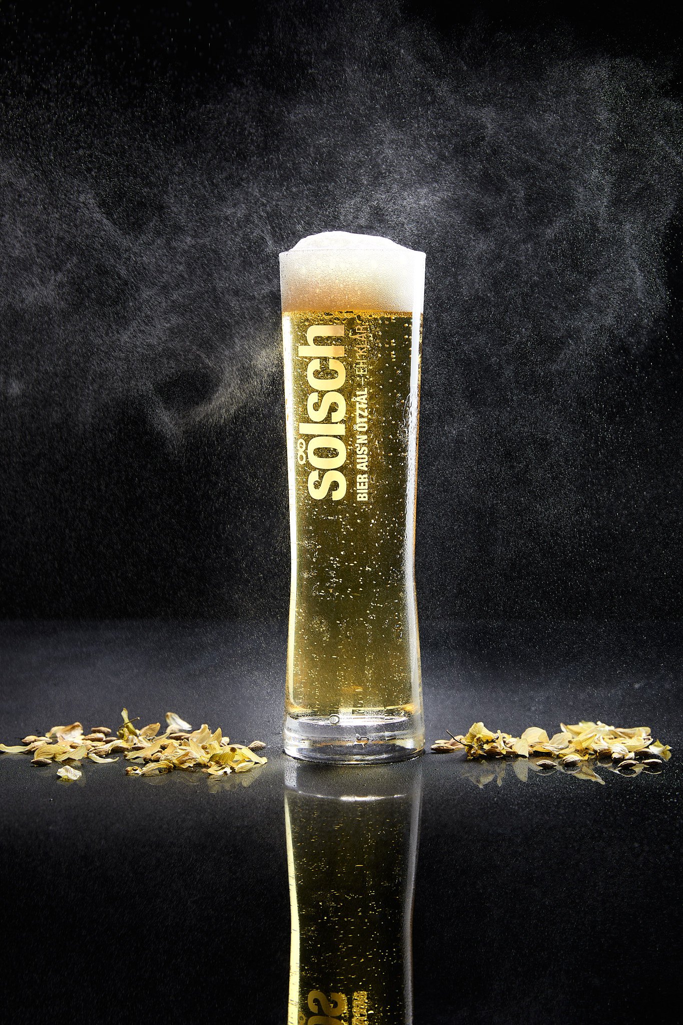 Ein Glas Bier mit Schaumkrone, auf einem schwarzen Hintergrund, mit getrockneten Hopfendolden im Vordergrund, und der Text 'Sölsch' auf dem Glas. Fotografiert von Sarah Neuner.