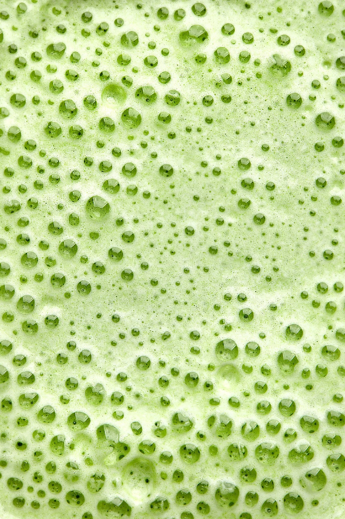 Green juice bubbles by Sarah Neuner Photography