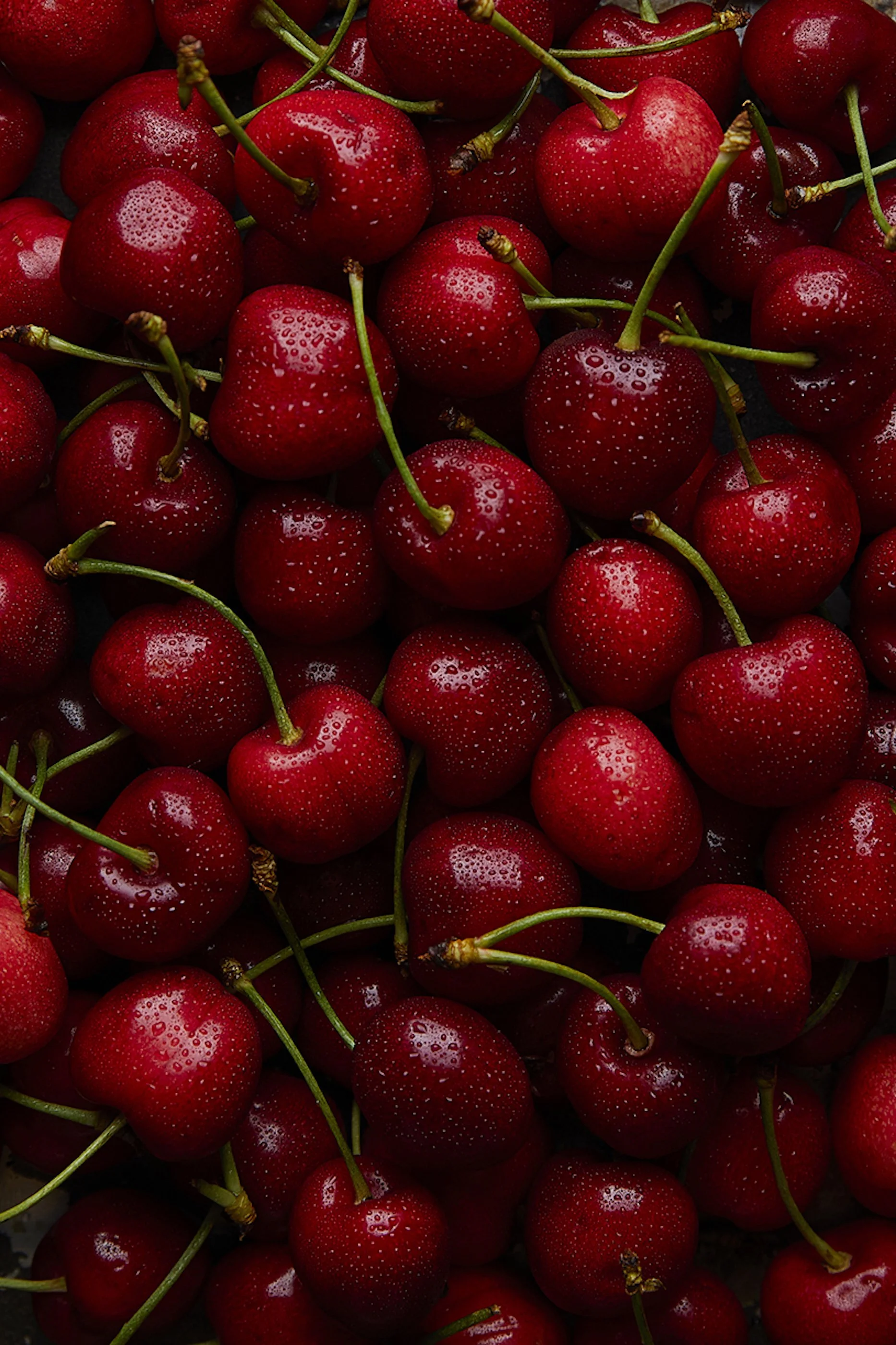 Cherries by Sarah Neuner Photography