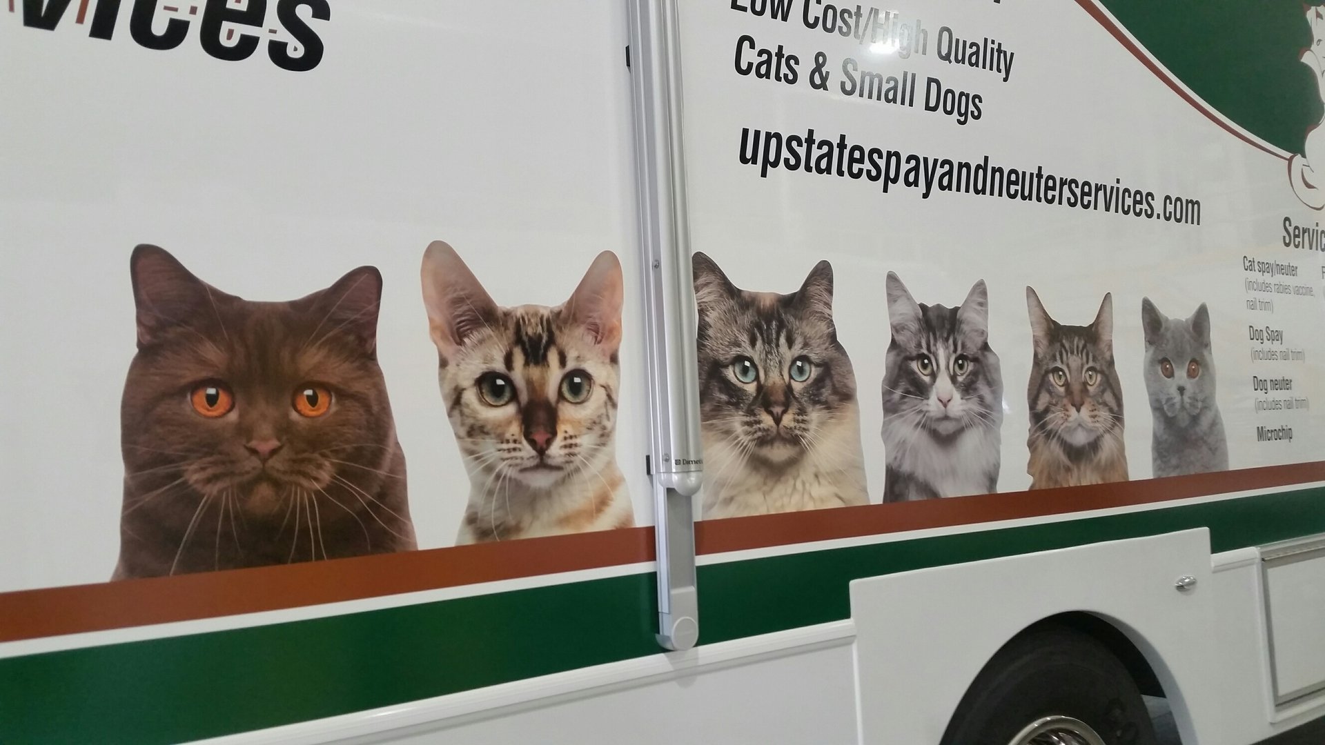 Upstate Spay & Neuter Clinic