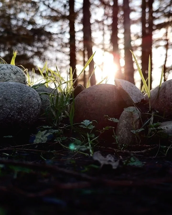 Boxing Day adventures.